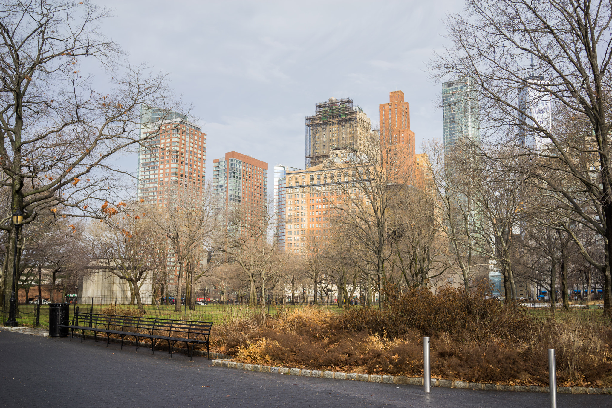 Sony a7R + Sony Sonnar T* FE 35mm F2.8 ZA sample photo. Ny central park photography