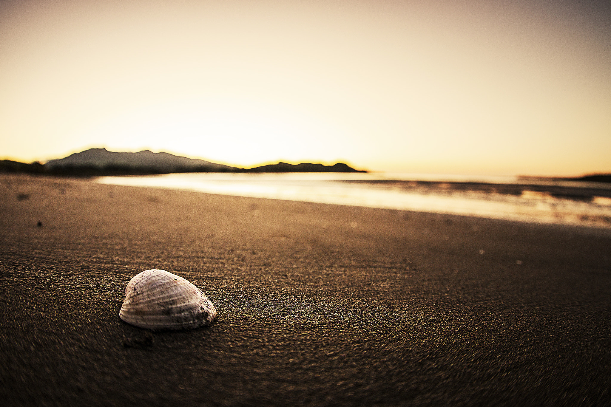 Canon EOS 70D + Canon EF 8-15mm F4L Fisheye USM sample photo. Sunset in new zealand photography
