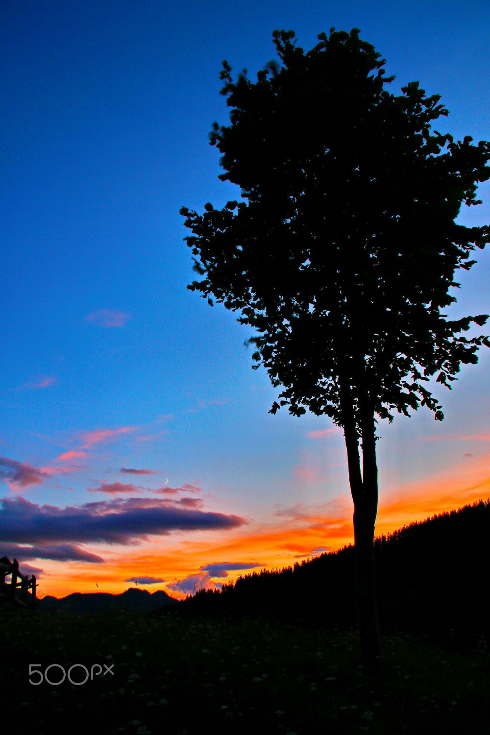 Canon EF-S 17-85mm F4-5.6 IS USM sample photo. Shine photography