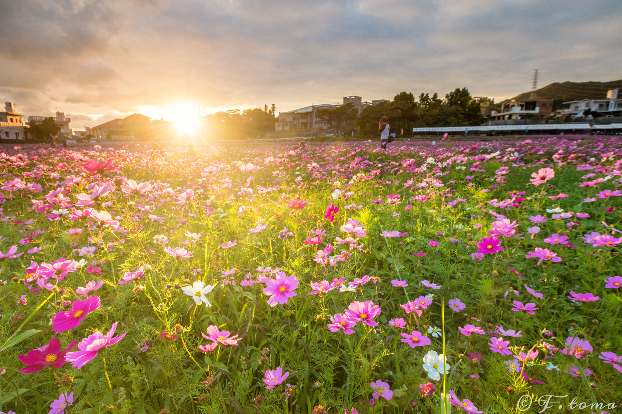 Sigma 10-20mm F3.5 EX DC HSM sample photo. Brilliance sunset photography
