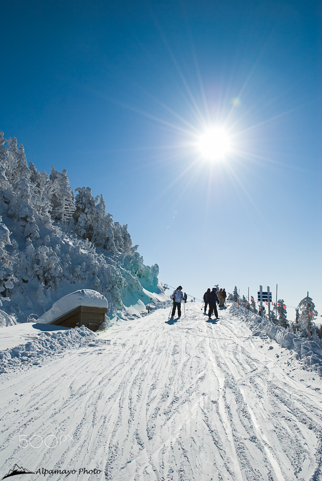 Nikon D200 sample photo. Sunny ski morning photography