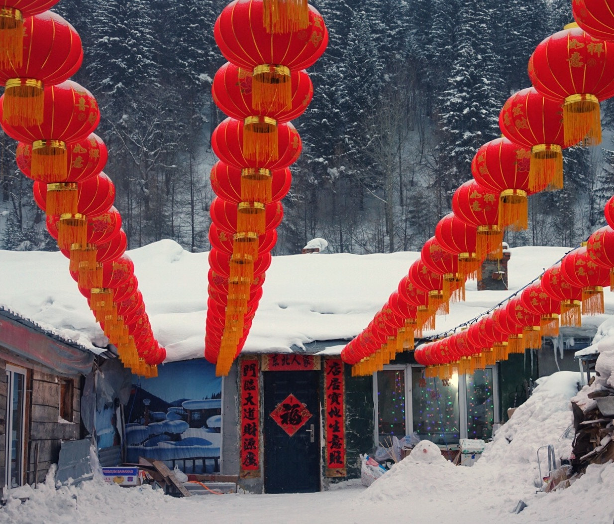 Sony 24-600mm F2.4-4.0 sample photo. Snow country chinese new year photography