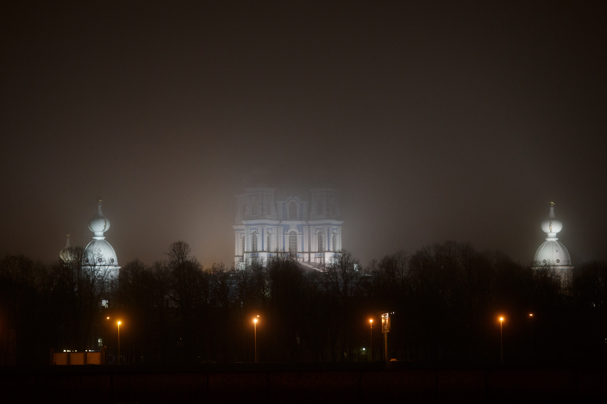 ZEISS Makro-Planar T* 100mm F2 sample photo. Смольный без головы photography