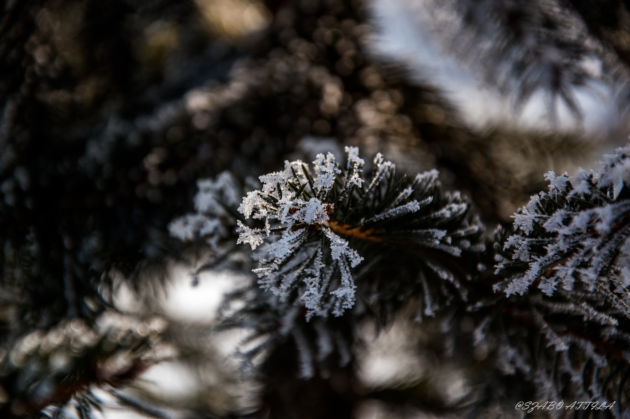 Nikon D70s sample photo. Ice photography