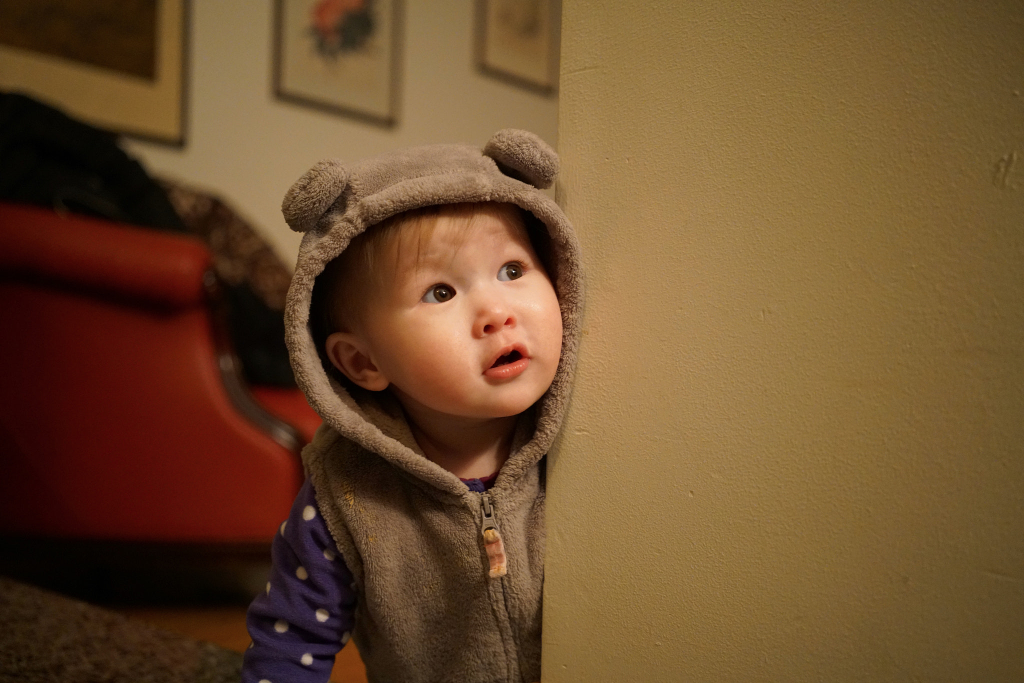 Sony a7R II + Sony Sonnar T* FE 35mm F2.8 ZA sample photo. Curious angelica photography