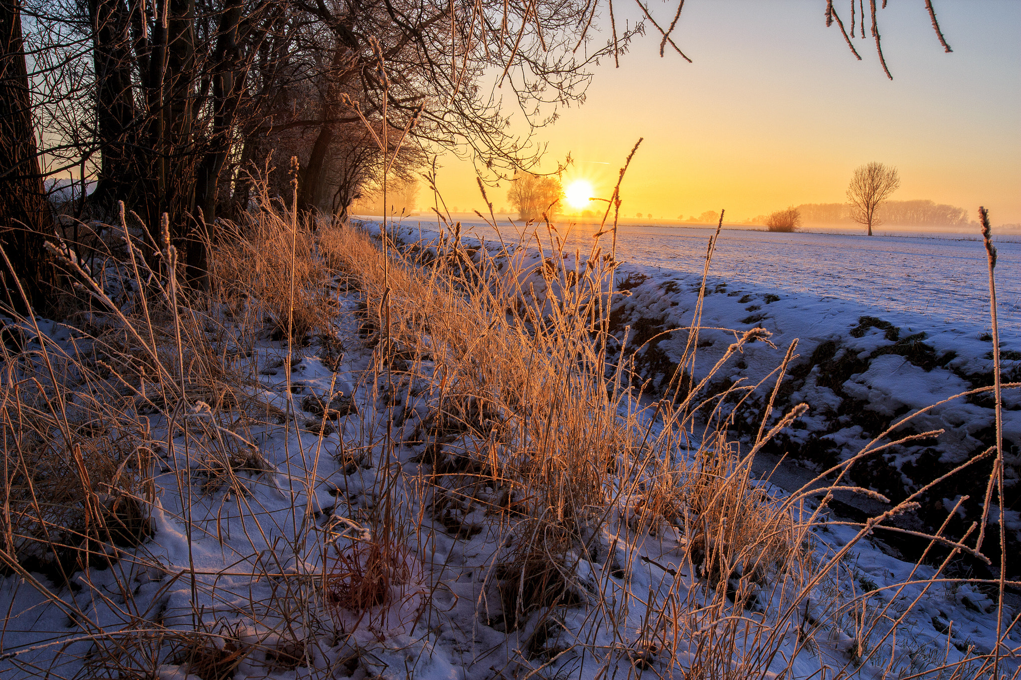 Canon EF 16-35mm F4L IS USM sample photo. Winter sonne photography