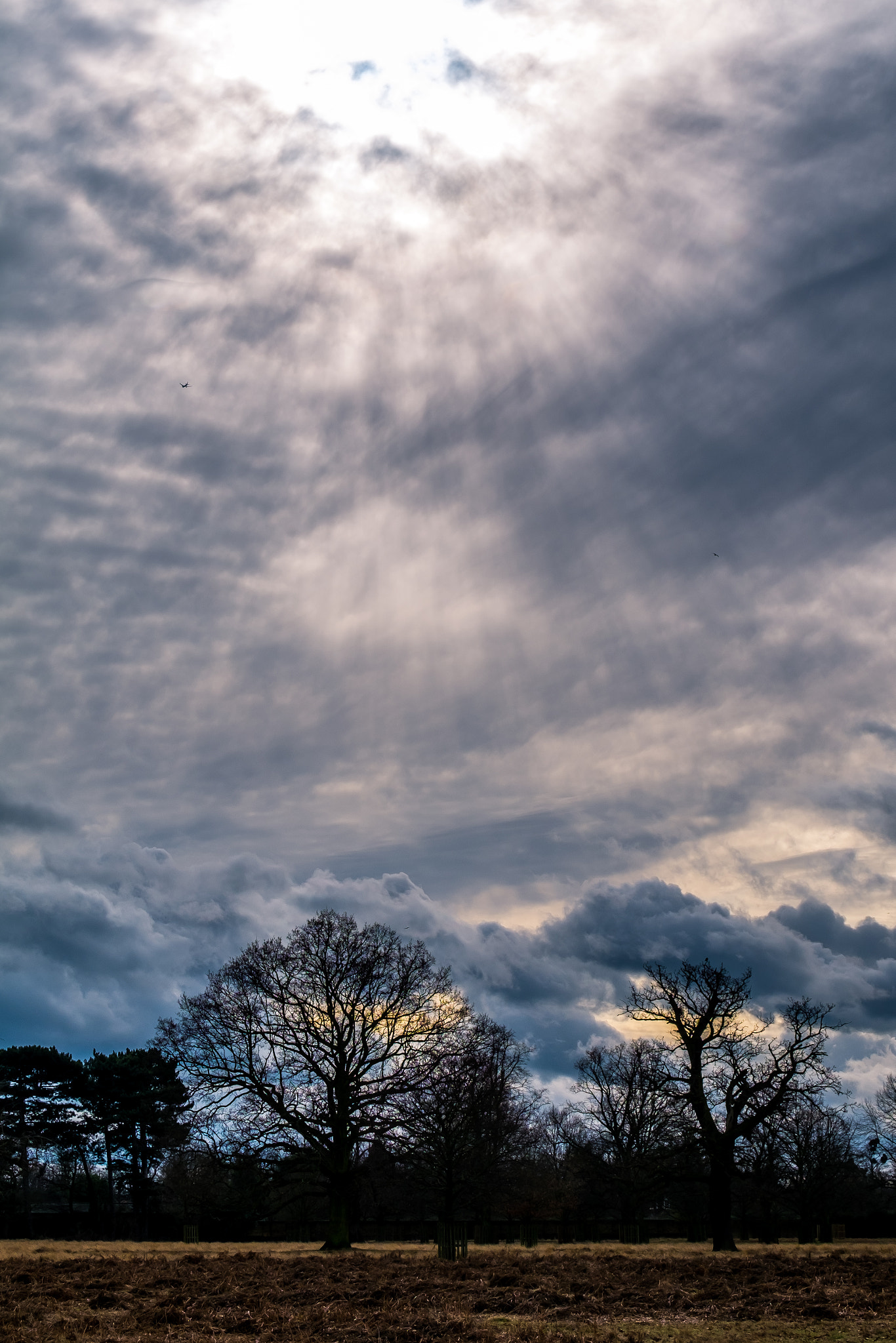 Fujifilm XF 55-200mm F3.5-4.8 R LM OIS sample photo. Bushy park, london photography