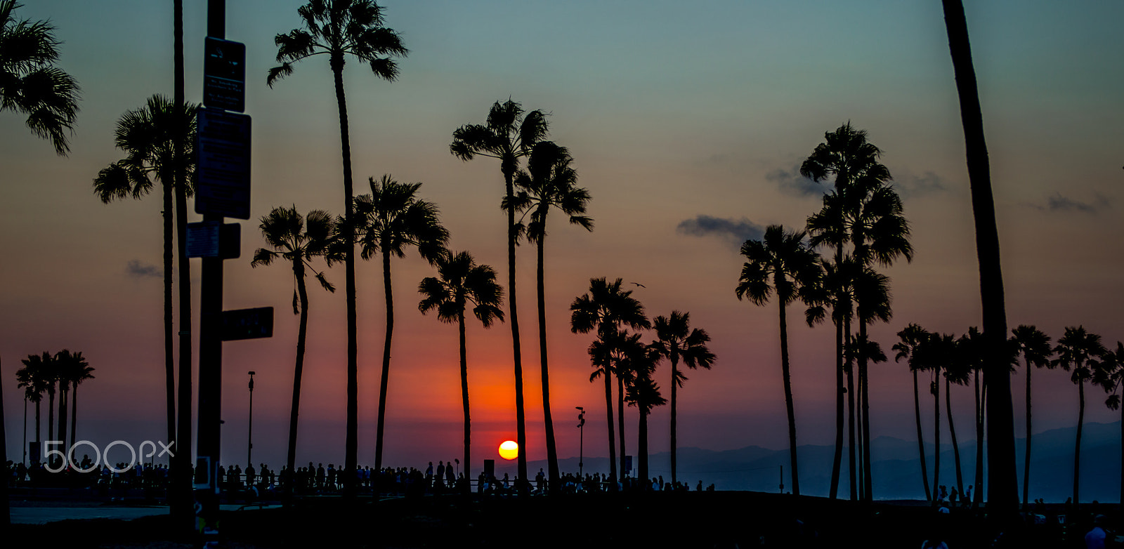 Nikon AF-S Nikkor 24-70mm F2.8G ED sample photo. Venice beach sunset photography