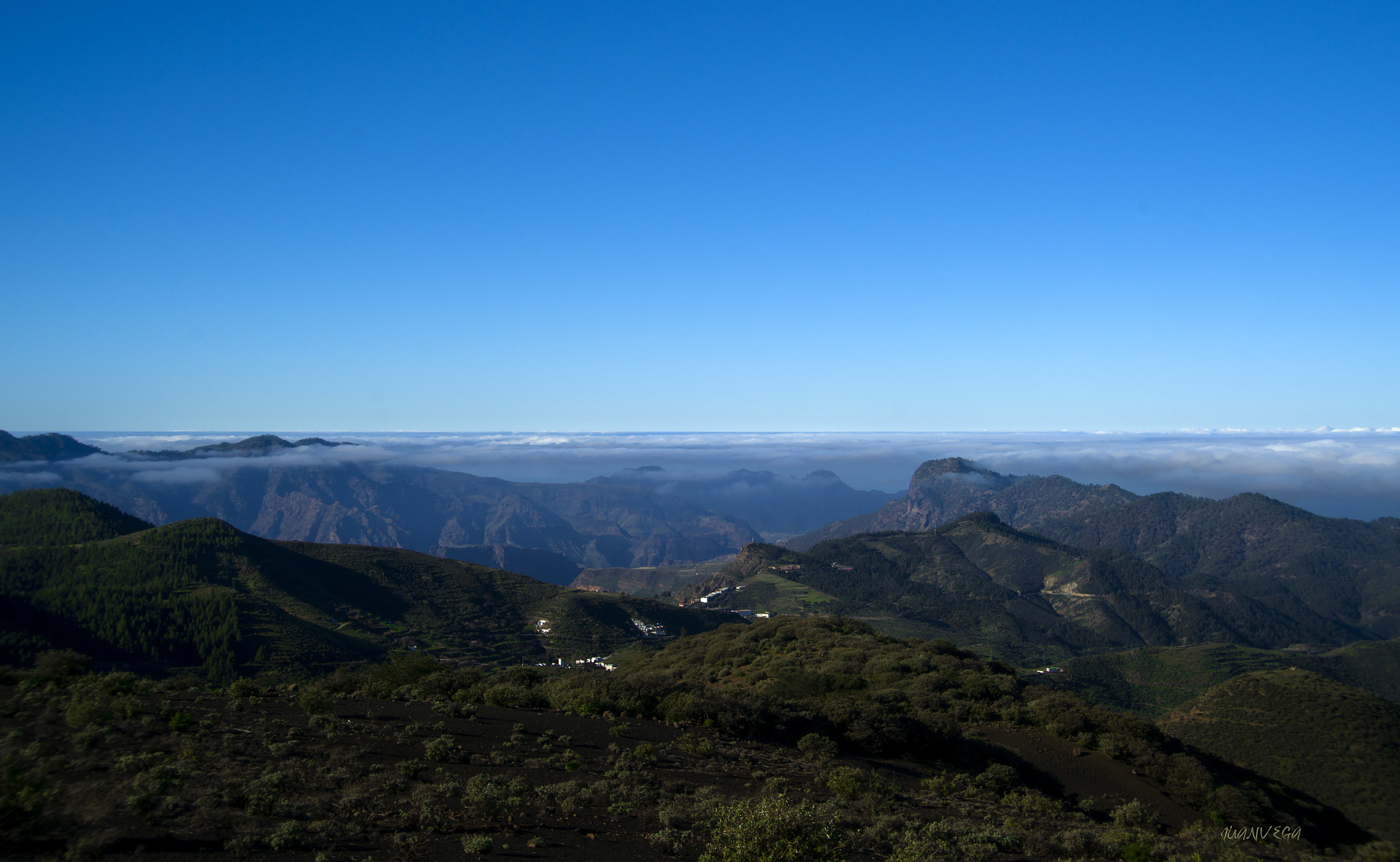 Sony Alpha DSLR-A850 + Sigma 28-105mm F4-5.6 UC sample photo. Pinos de galdar photography