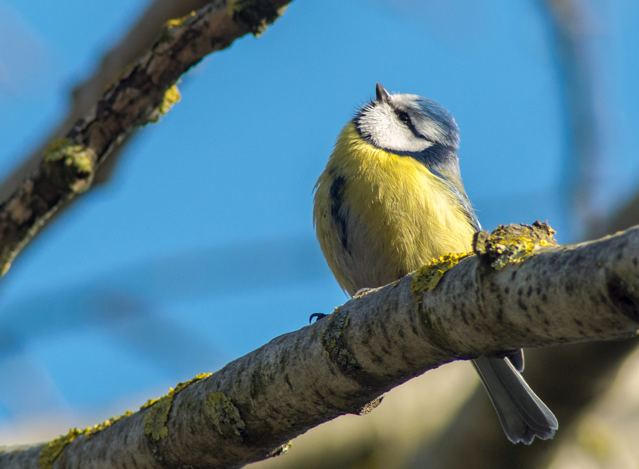 Tamron AF 70-300mm F4-5.6 Di LD Macro sample photo