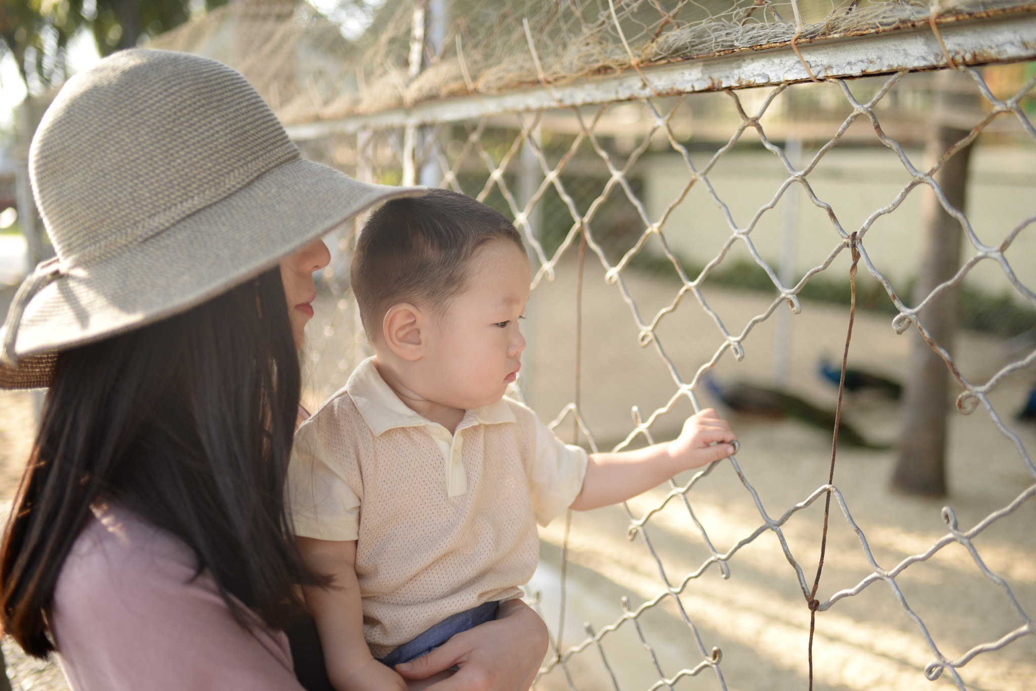 Nikon D610 + Nikon AF-S Nikkor 35mm F1.8G ED sample photo. 大年初一去三亚 photography