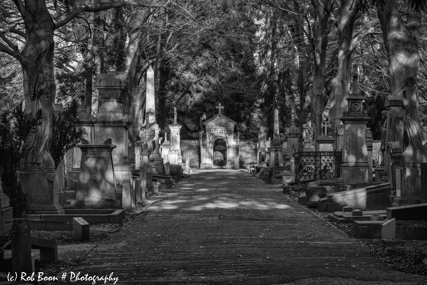 Canon EOS 5DS sample photo. Cemetery tongerseweg @ maastricht 4 photography