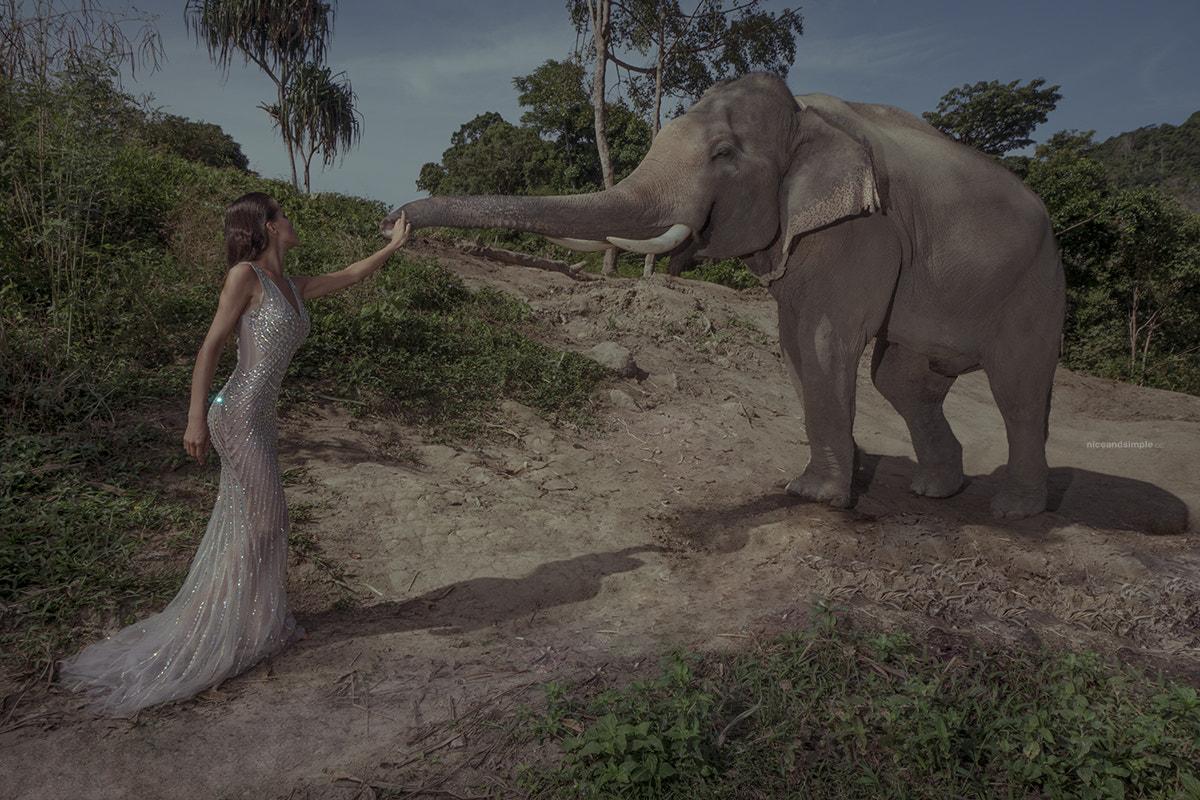 Sony a6300 + Sony E 10-18mm F4 OSS sample photo. Woman and elephant photography