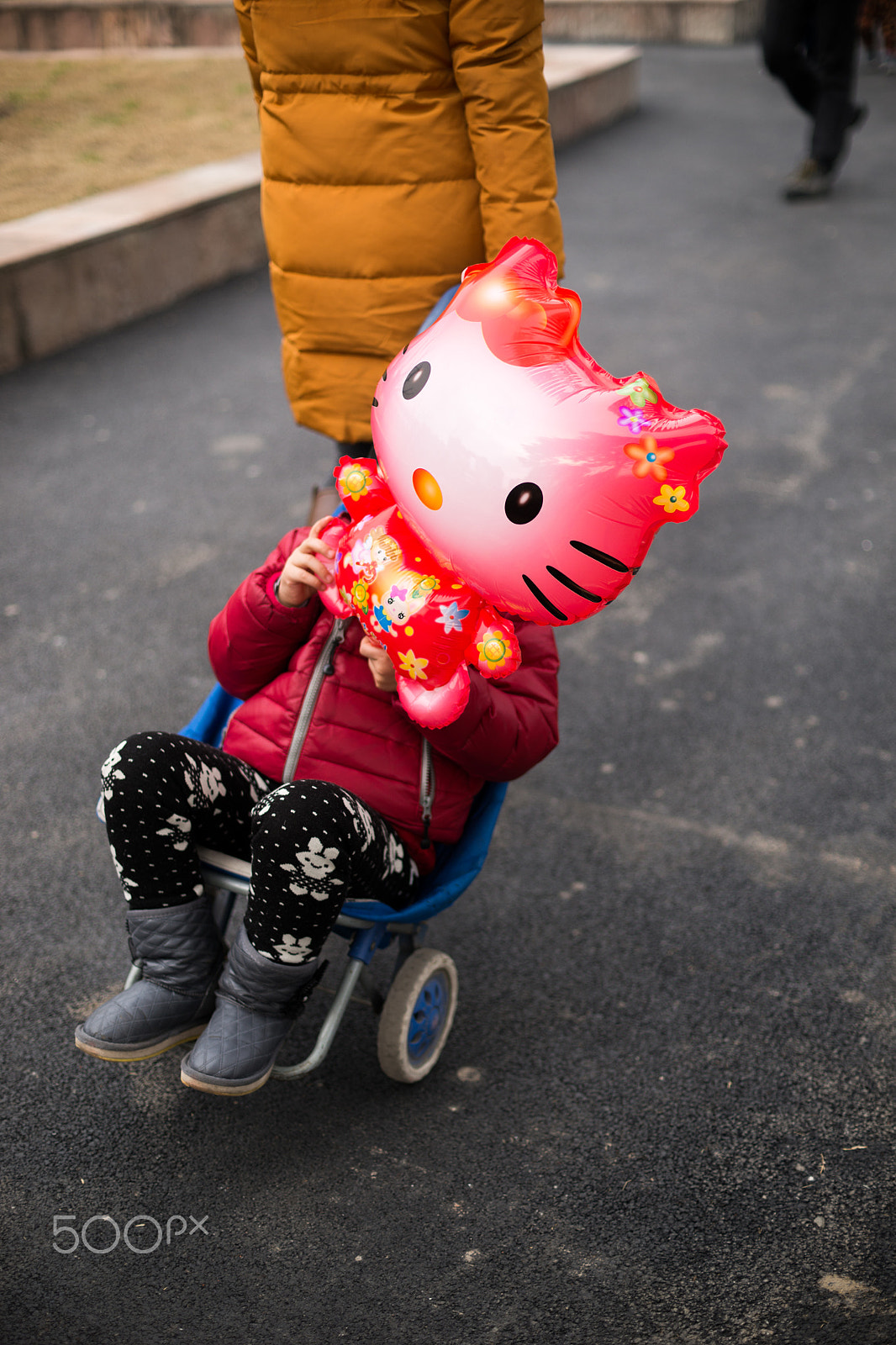 Sony a99 II + Sony 50mm F1.4 sample photo. Kitty on the trolley photography