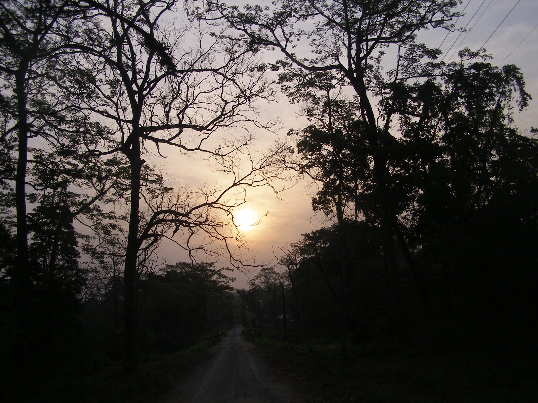Olympus SP500UZ sample photo. Sunrise & silhouette photography
