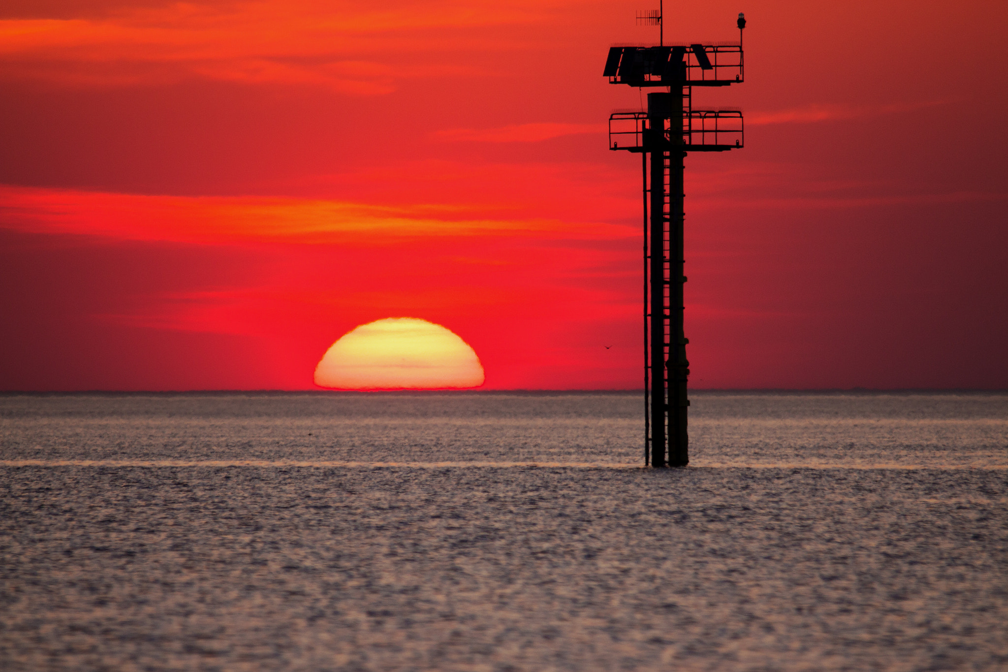 Sigma 150-500mm F5-6.3 DG OS HSM sample photo. Touch down photography