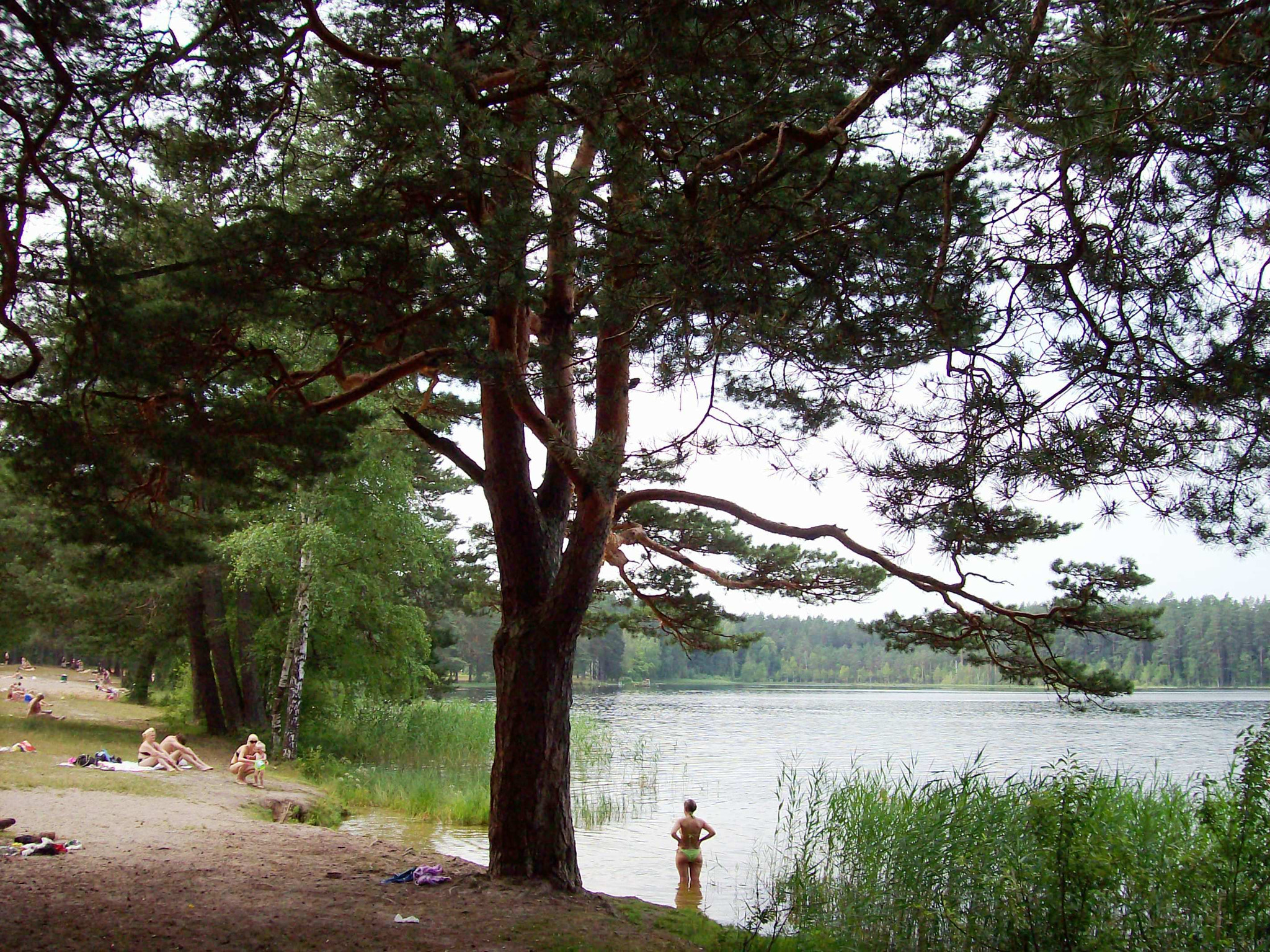 Kodak EASYSHARE C643 ZOOM DIGITAL CAMERA sample photo. Oh summer ! photography