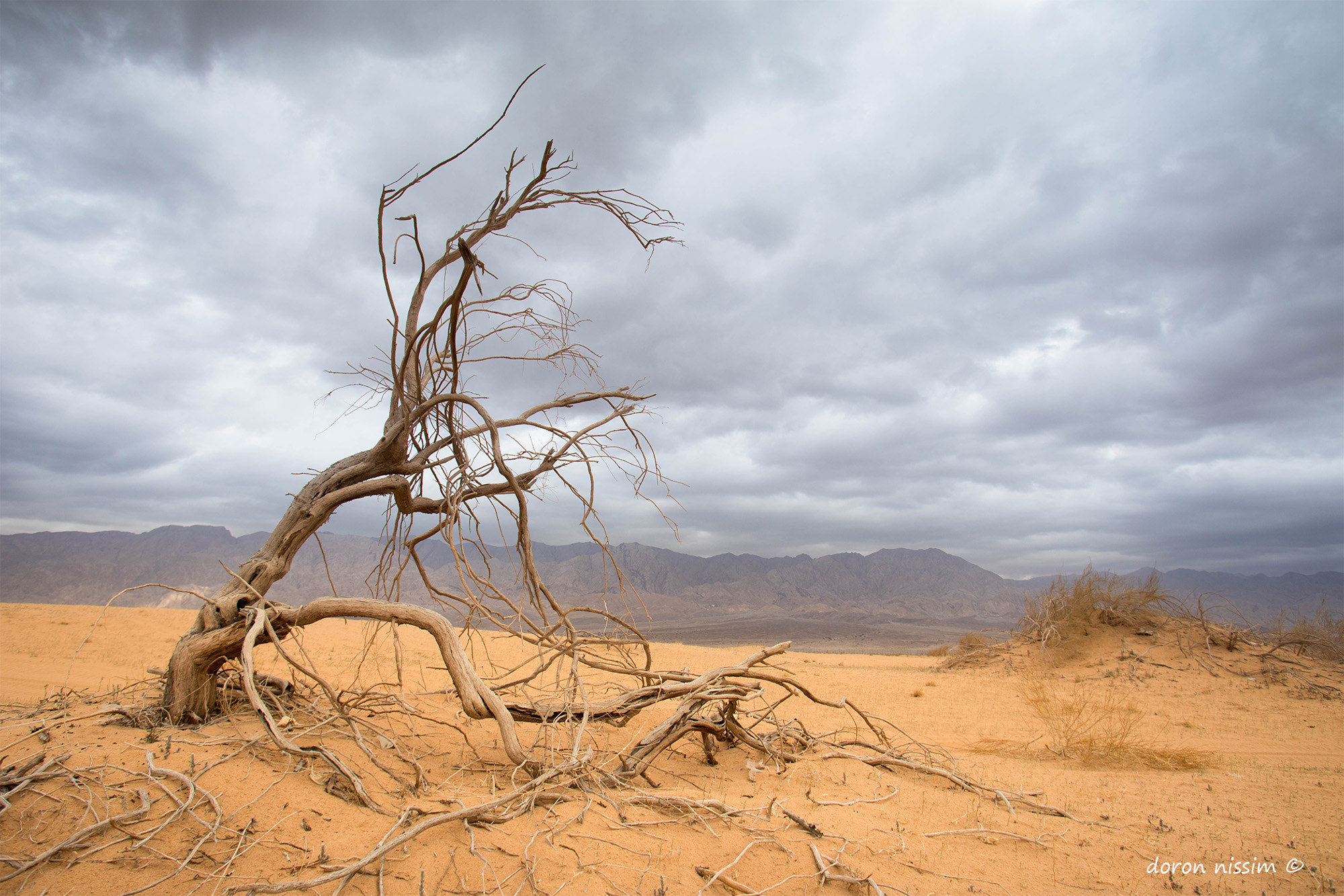 Canon EF 17-35mm f/2.8L sample photo. Samar dune photography