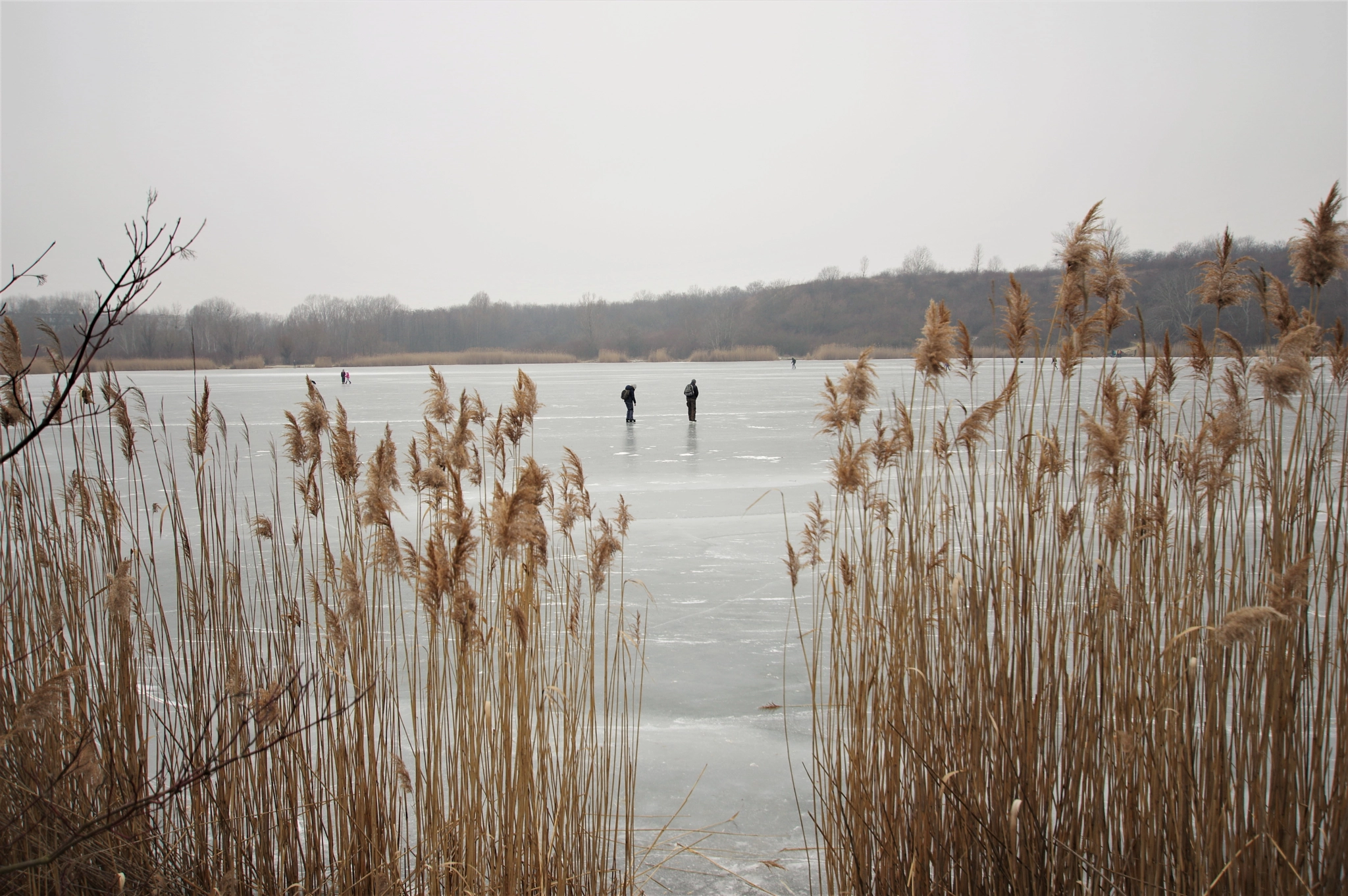 Pentax K-3 sample photo. Frozen lake and ice skaters, january 2017. photography