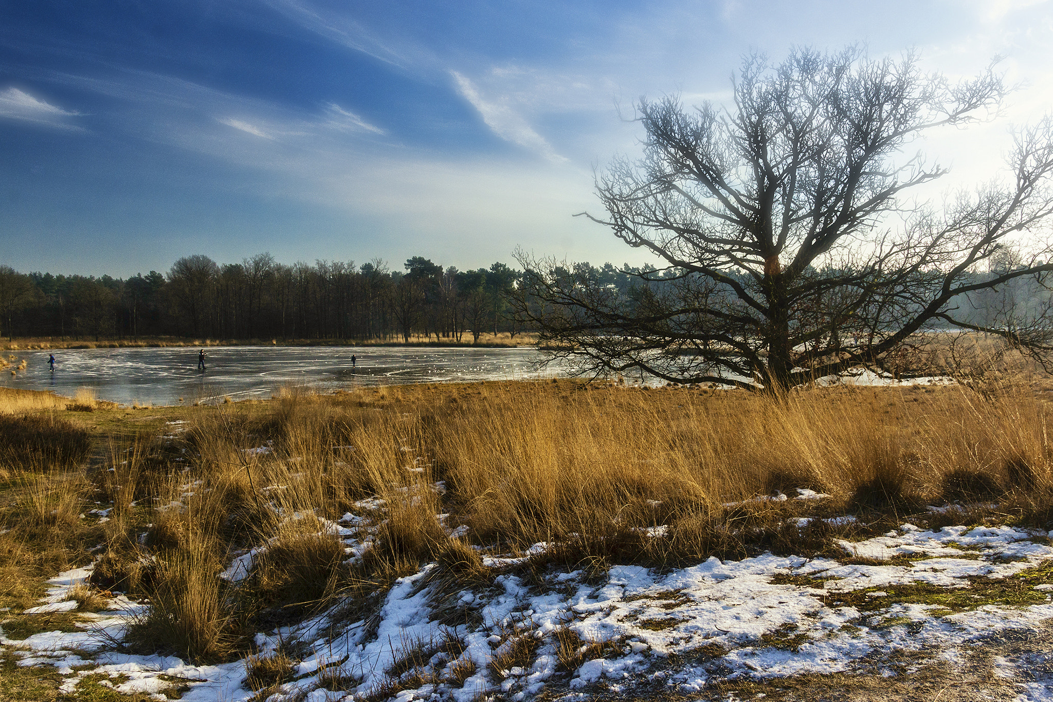 Sony SLT-A65 (SLT-A65V) sample photo. Kalmthoutse heide photography