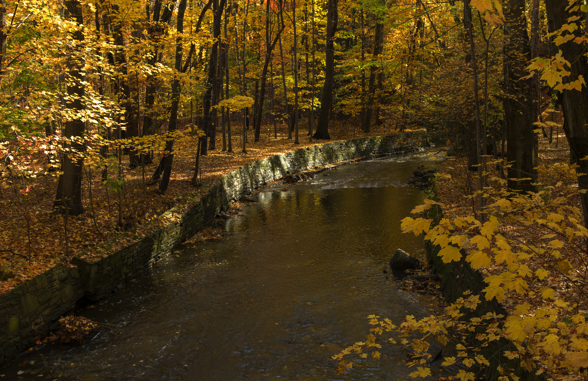 Leica M9 + Leica Summilux-M 35mm F1.4 ASPH sample photo. Porter creek, bay village, ohio photography