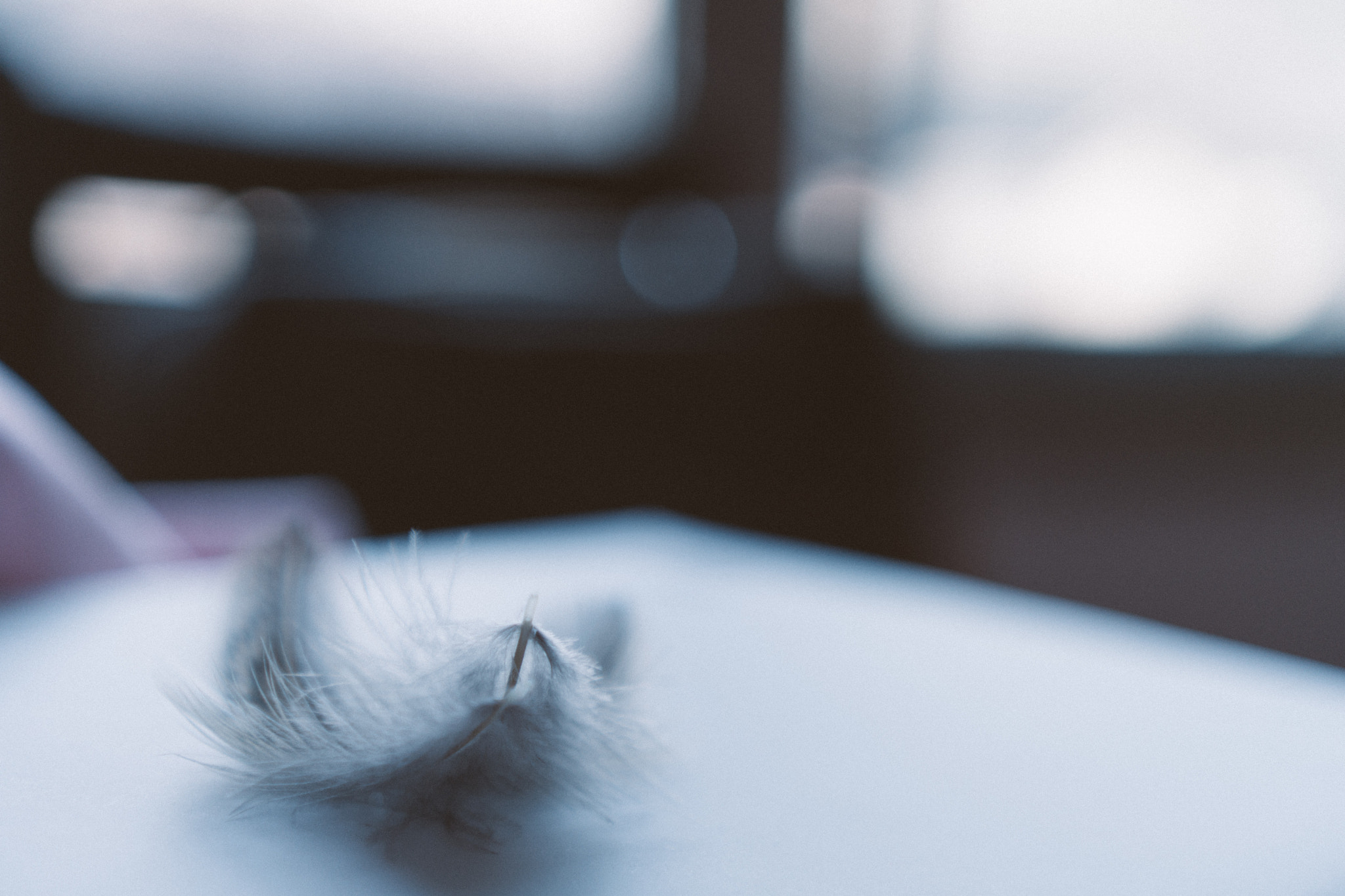 Sony E 35mm F1.8 OSS sample photo. Nothing photography