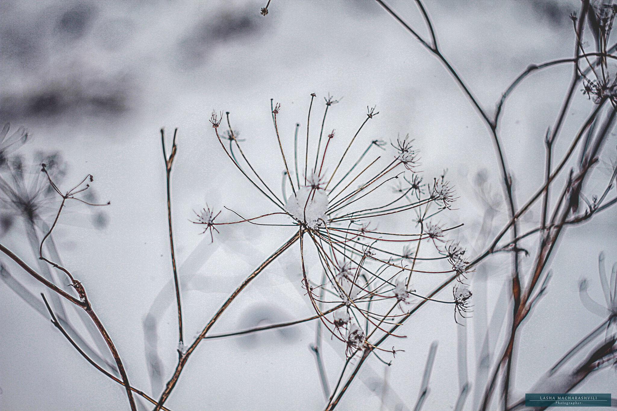 Canon EF 35-80mm f/4-5.6 sample photo. Img_7274-1.jpg photography