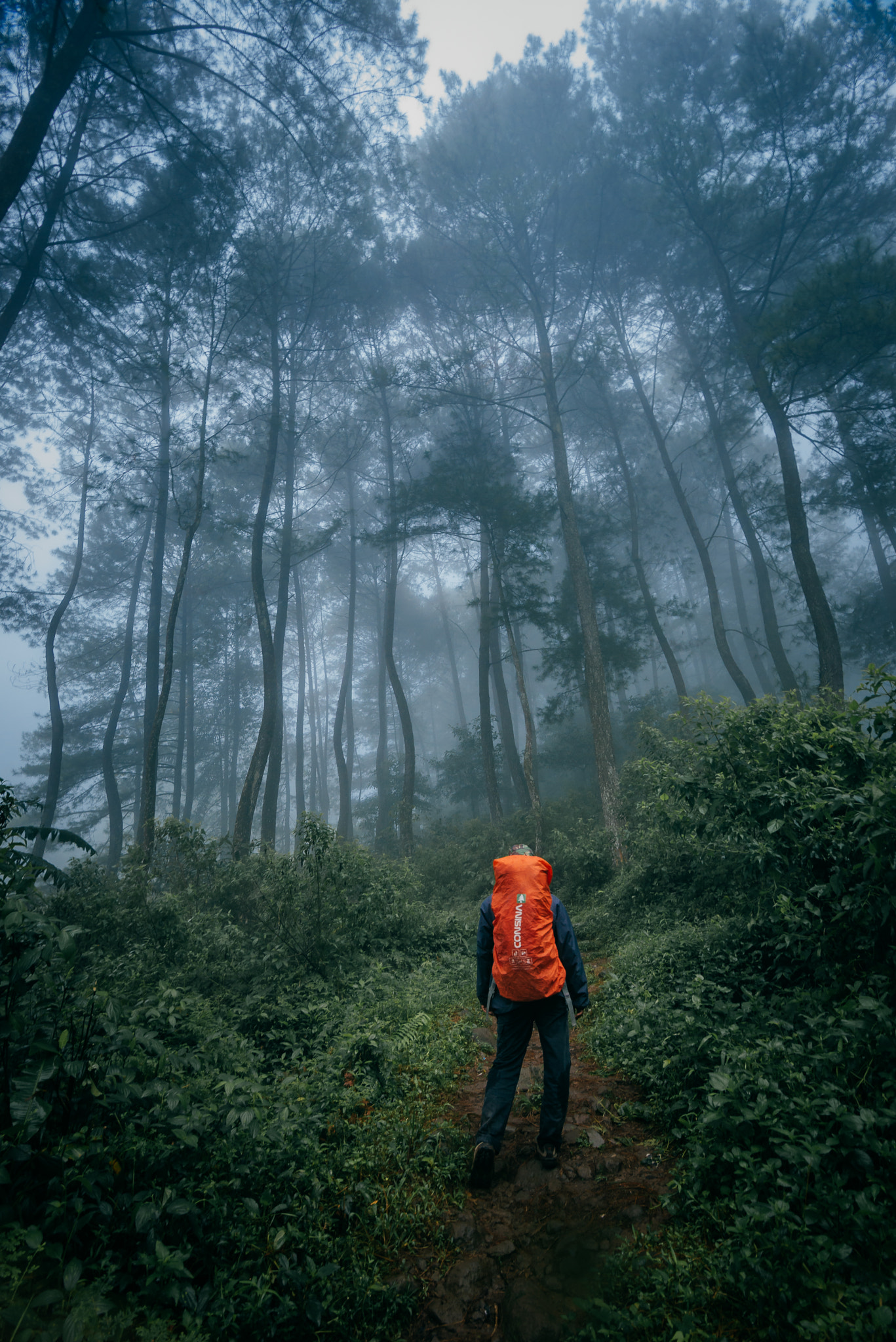Nikon D600 + Tokina AT-X 17-35mm F4 Pro FX sample photo. Morning hiking photography