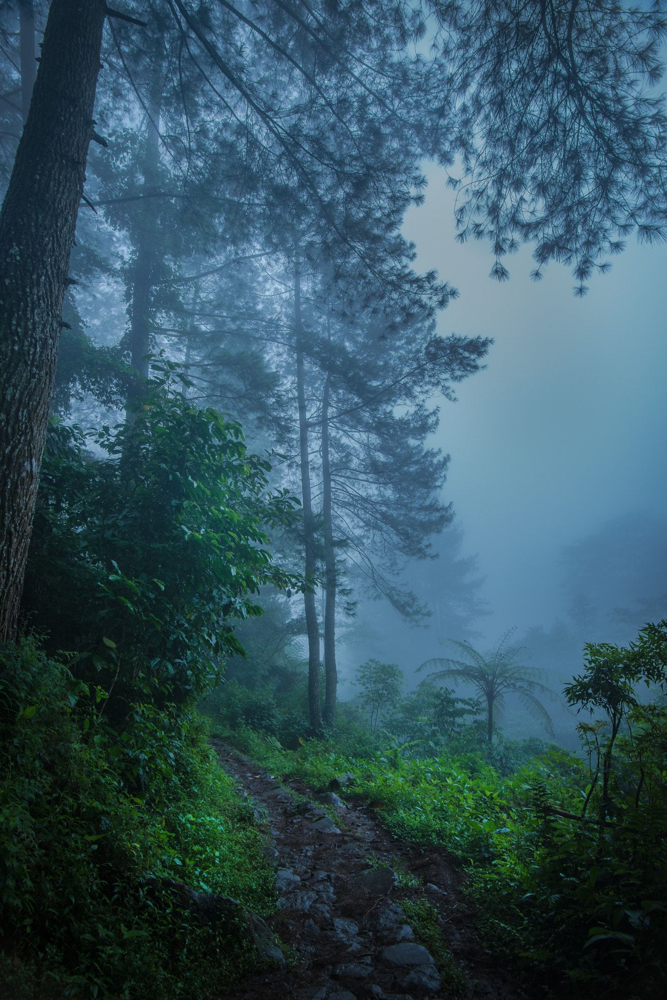 Nikon D600 + Tokina AT-X 17-35mm F4 Pro FX sample photo. Misty photography