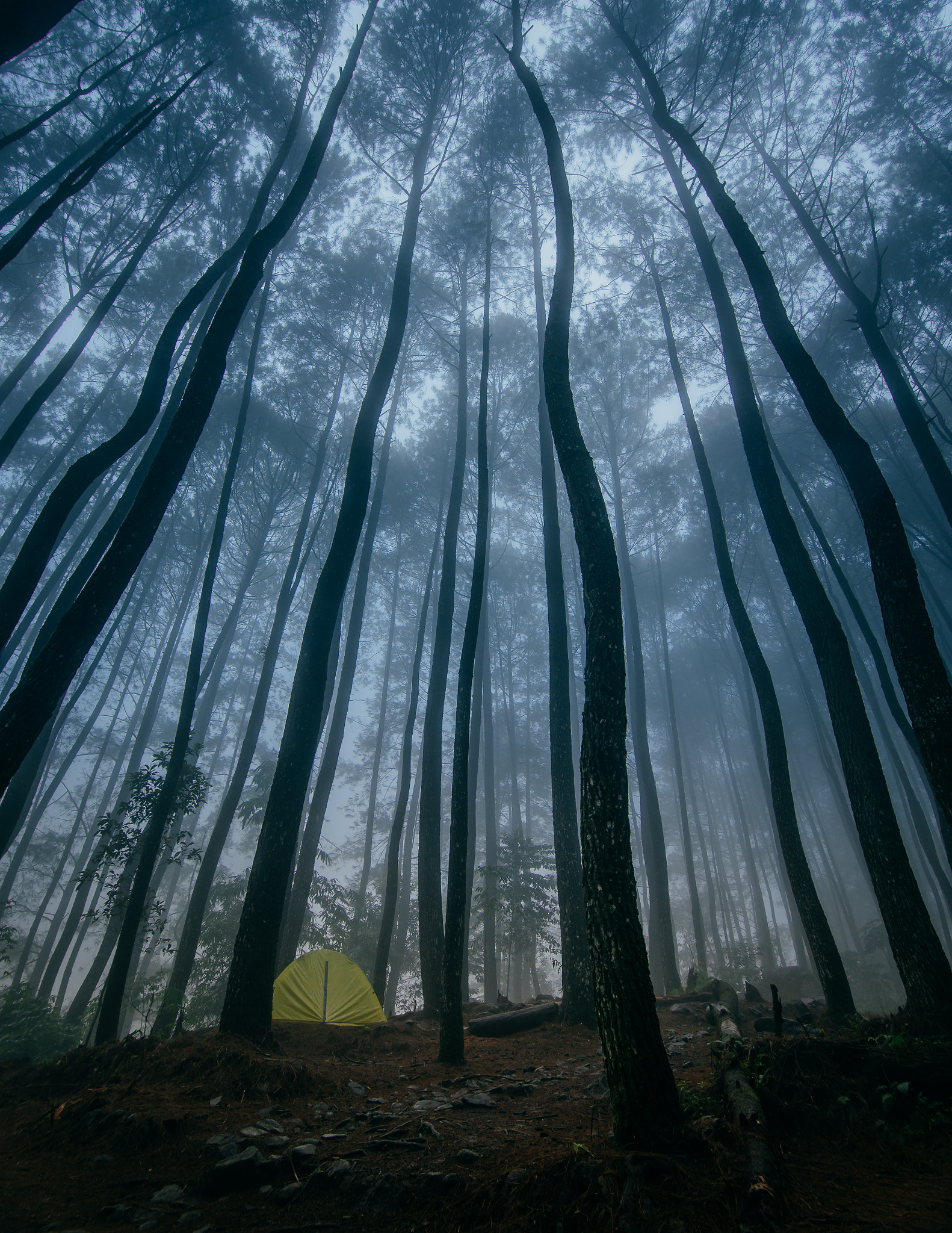 Nikon D600 + Tokina AT-X 17-35mm F4 Pro FX sample photo. Misty morning photography