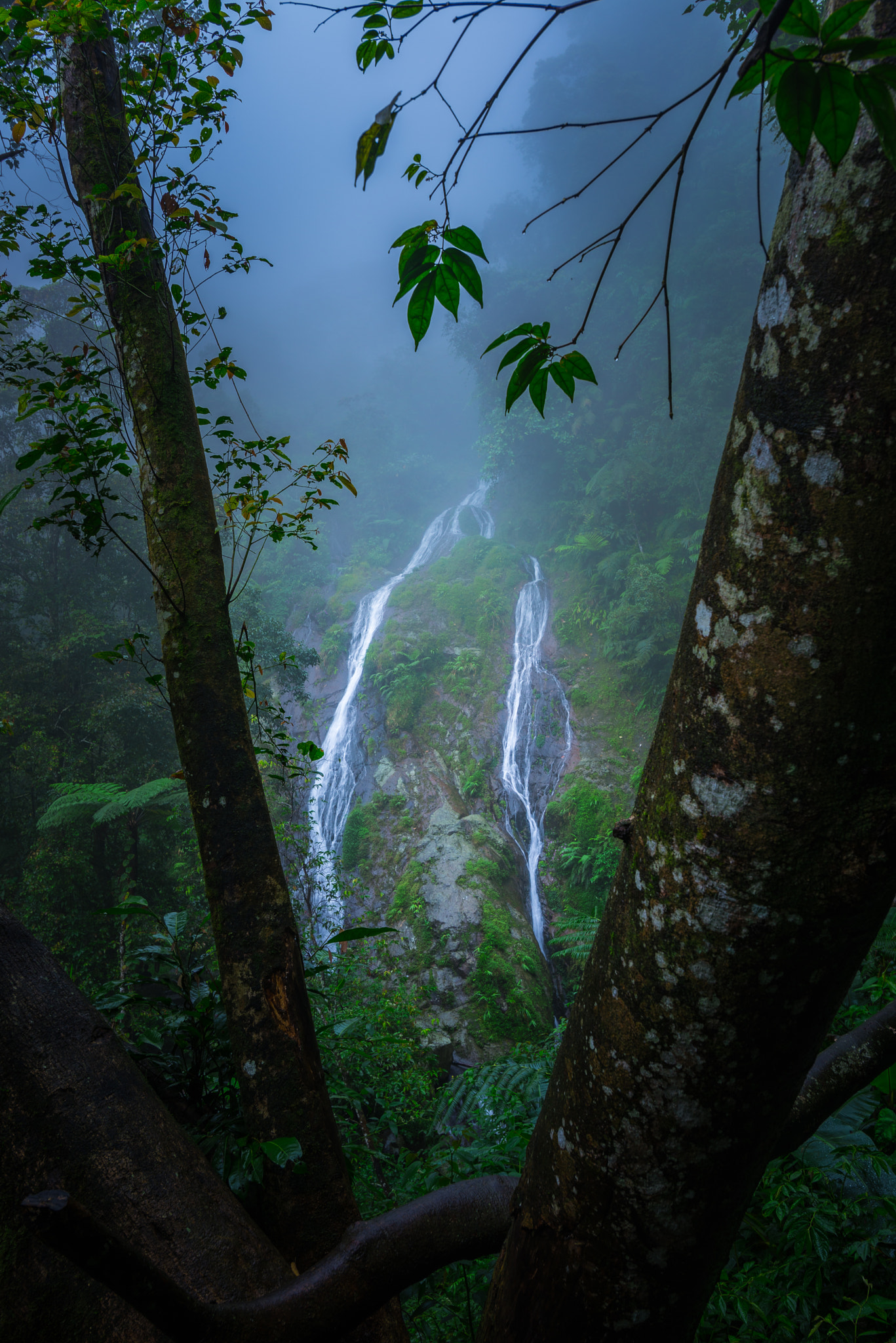 Nikon D600 + Tokina AT-X 17-35mm F4 Pro FX sample photo. Hidden waterfall photography