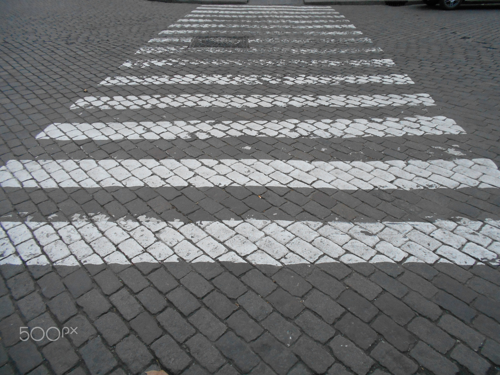 Nikon Coolpix S2900 sample photo. Crosswalk zebra in a white road photography