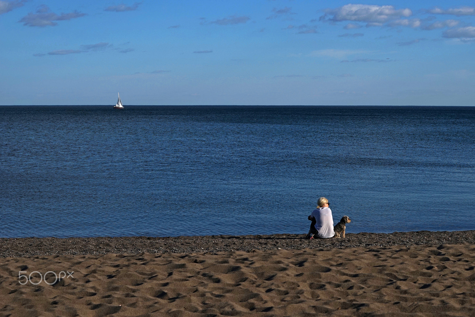 Sony a7 + Sony FE 70-200mm F4 G OSS sample photo. The beaches. toronto photography