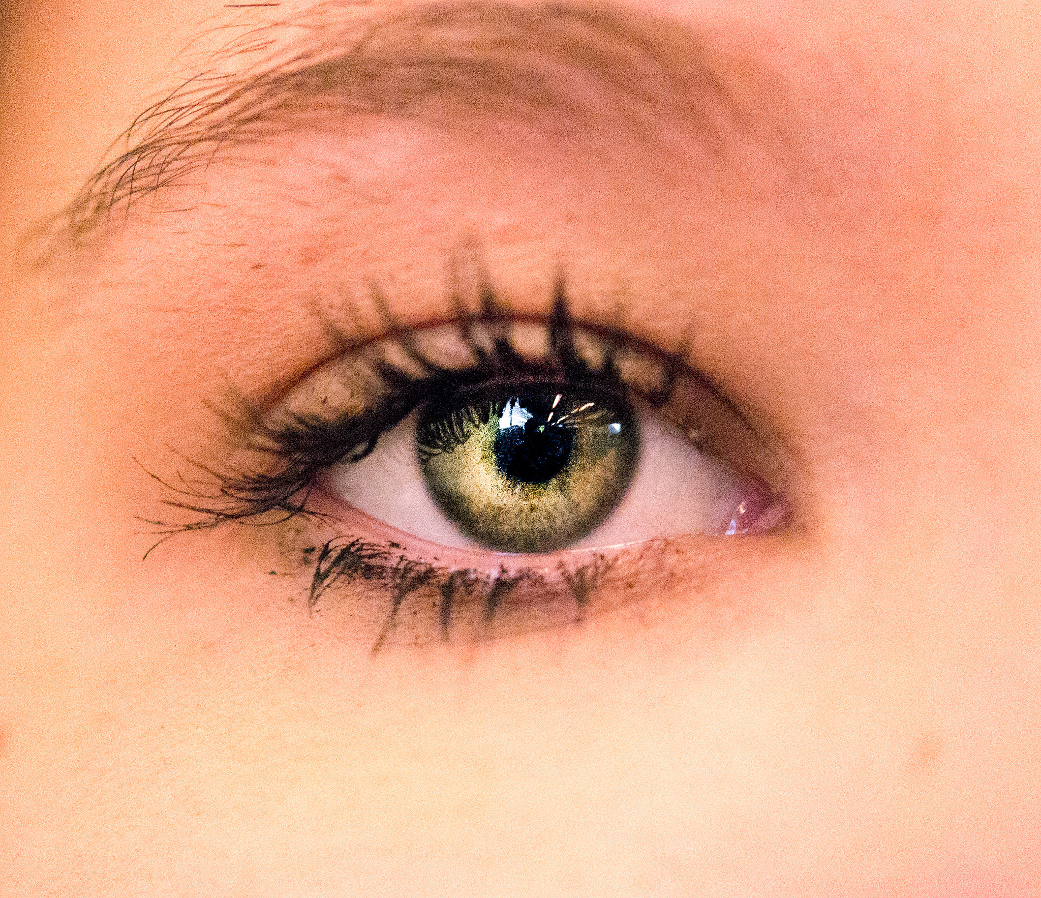 Nikon AF-S Micro-Nikkor 60mm F2.8G ED sample photo