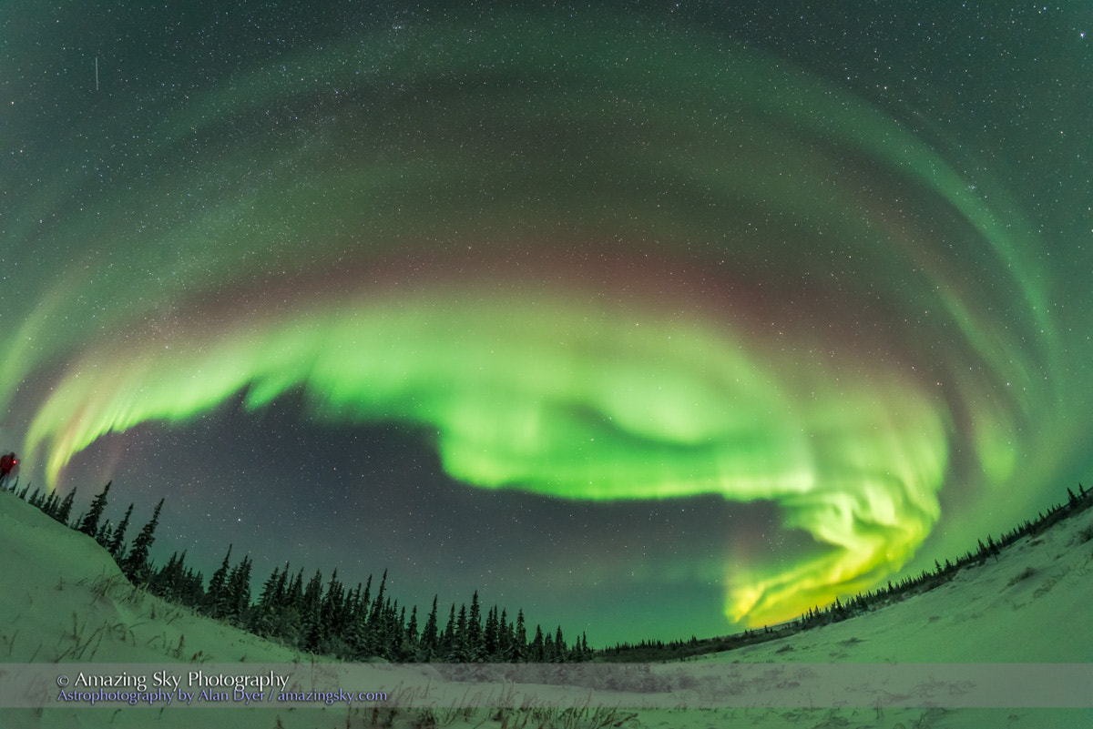 Samyang 12mm F2.8 ED AS NCS Fisheye sample photo. Auroral arcs #1 (january 27, 2017) photography