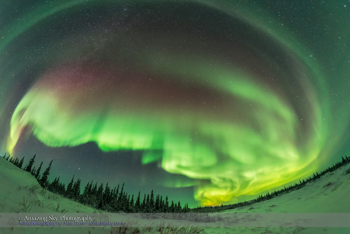 Nikon D750 + Samyang 12mm F2.8 ED AS NCS Fisheye sample photo. Auroral arcs #2 (january 27, 2017) photography