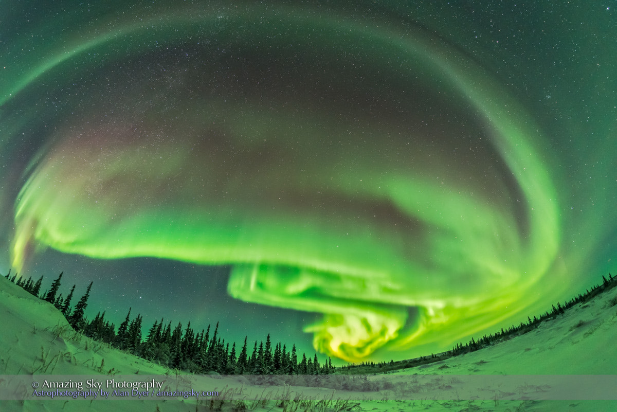 Samyang 12mm F2.8 ED AS NCS Fisheye sample photo. Auroral arcs #3 (january 27, 2017) photography
