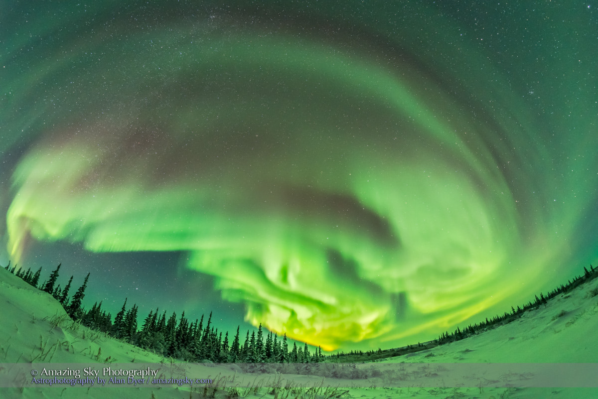 Samyang 12mm F2.8 ED AS NCS Fisheye sample photo. Auroral arcs #4 (january 27, 2017) photography