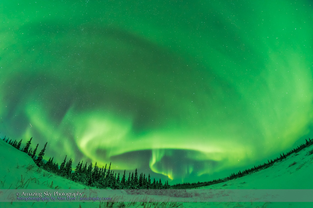 Nikon D750 + Samyang 12mm F2.8 ED AS NCS Fisheye sample photo. Auroral arcs #5 (january 27, 2017) photography