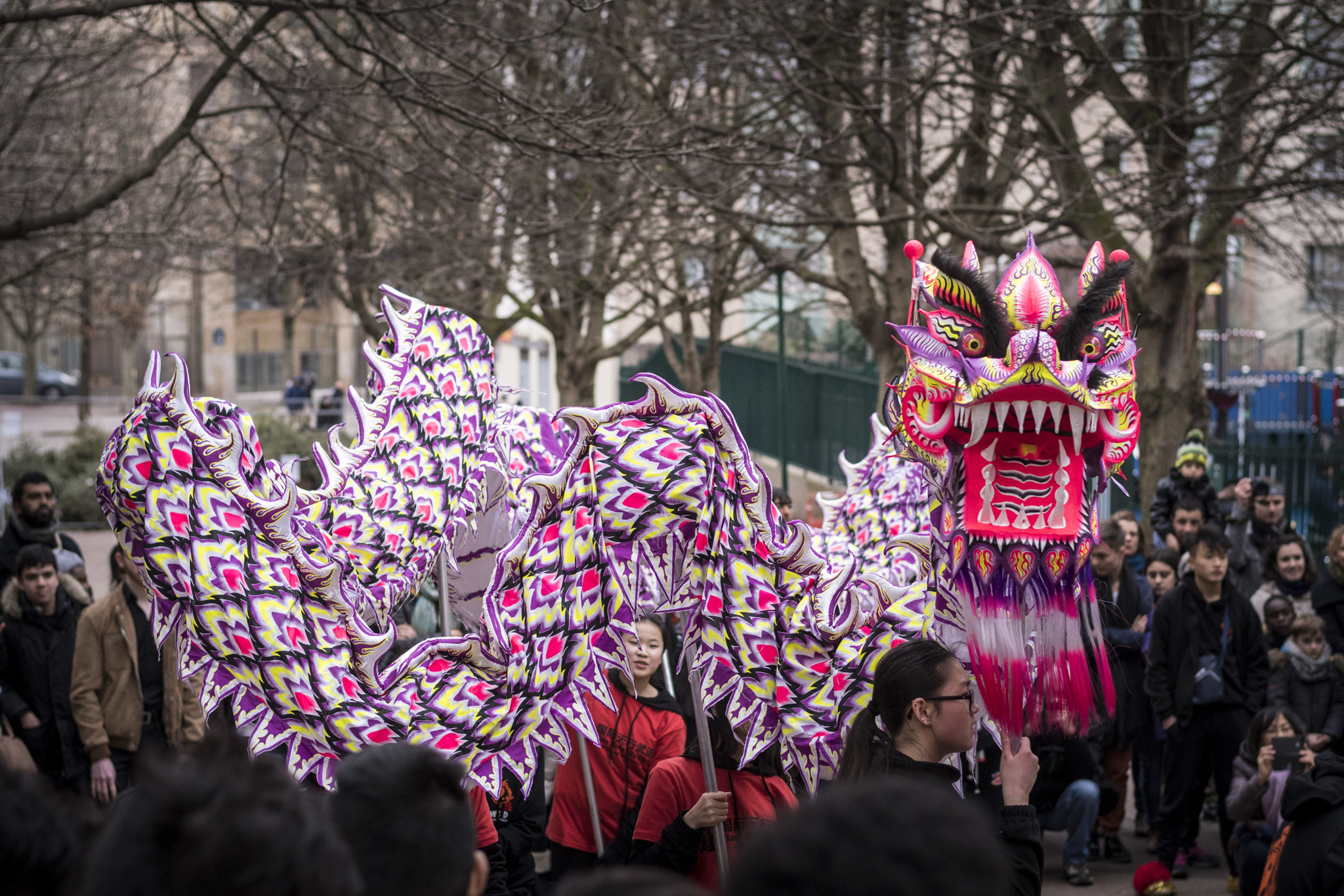 Nikon D500 + Nikon AF-S Nikkor 50mm F1.8G sample photo. Chinese new year in paris photography