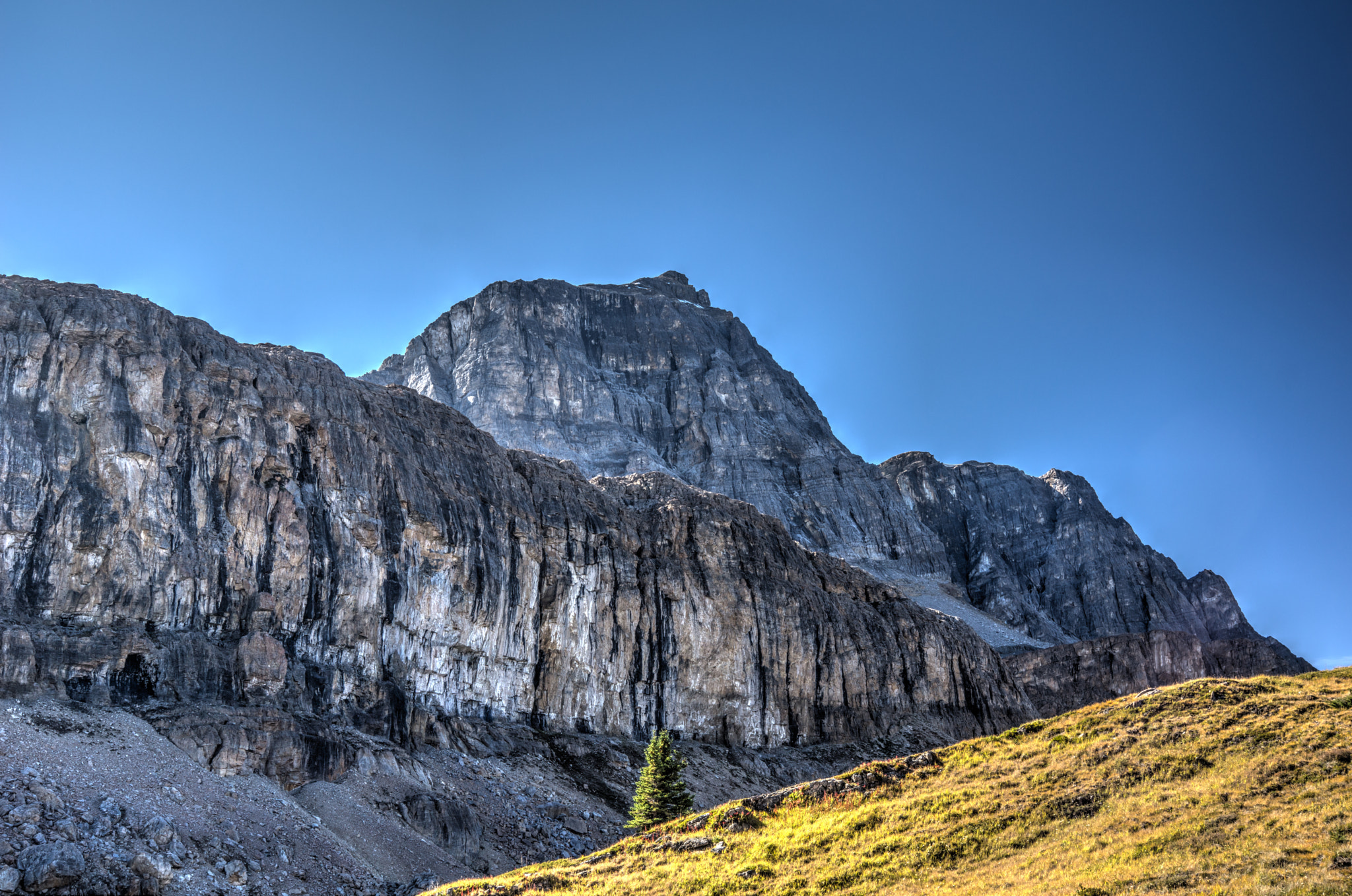 Sony SLT-A77 sample photo. Molar pass photography