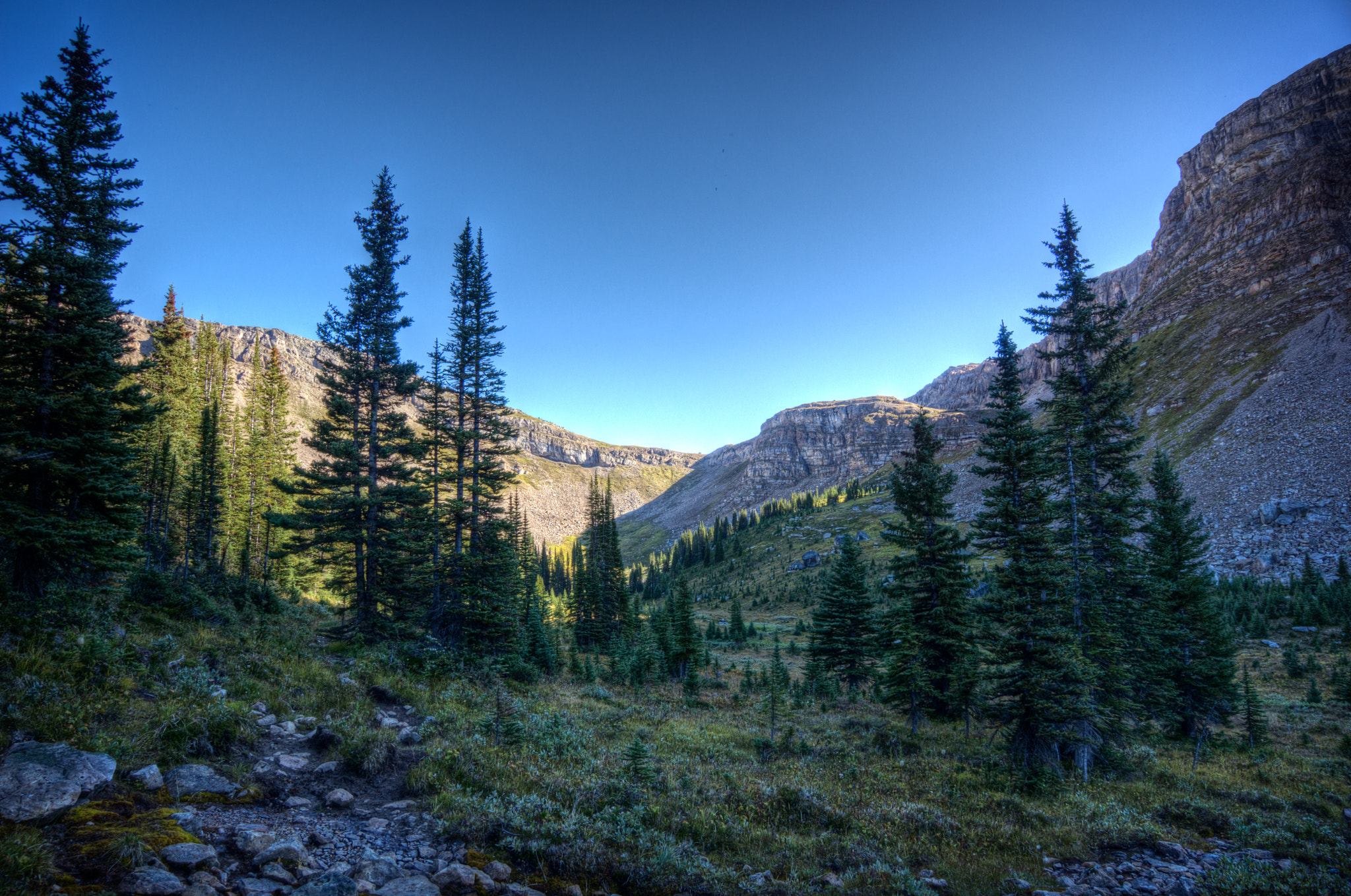 Sony SLT-A77 sample photo. Molar pass photography