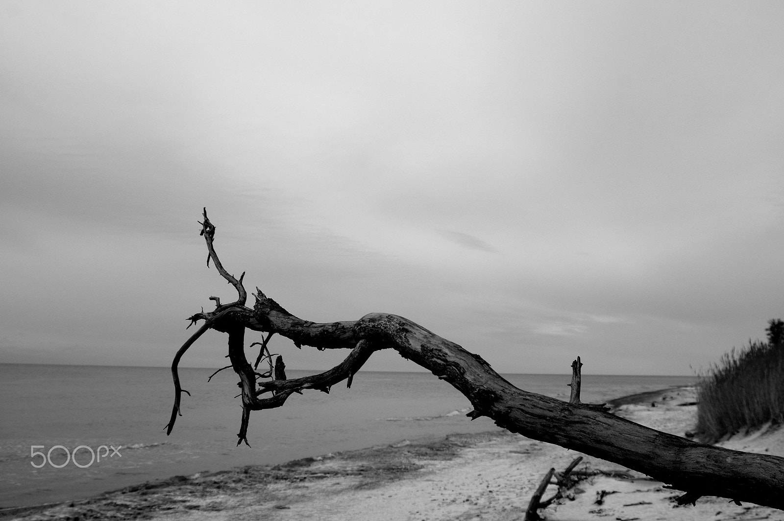 Pentax K-3 II + Sigma 17-35mm F2.8-4 EX DG sample photo. Calmness ... photography