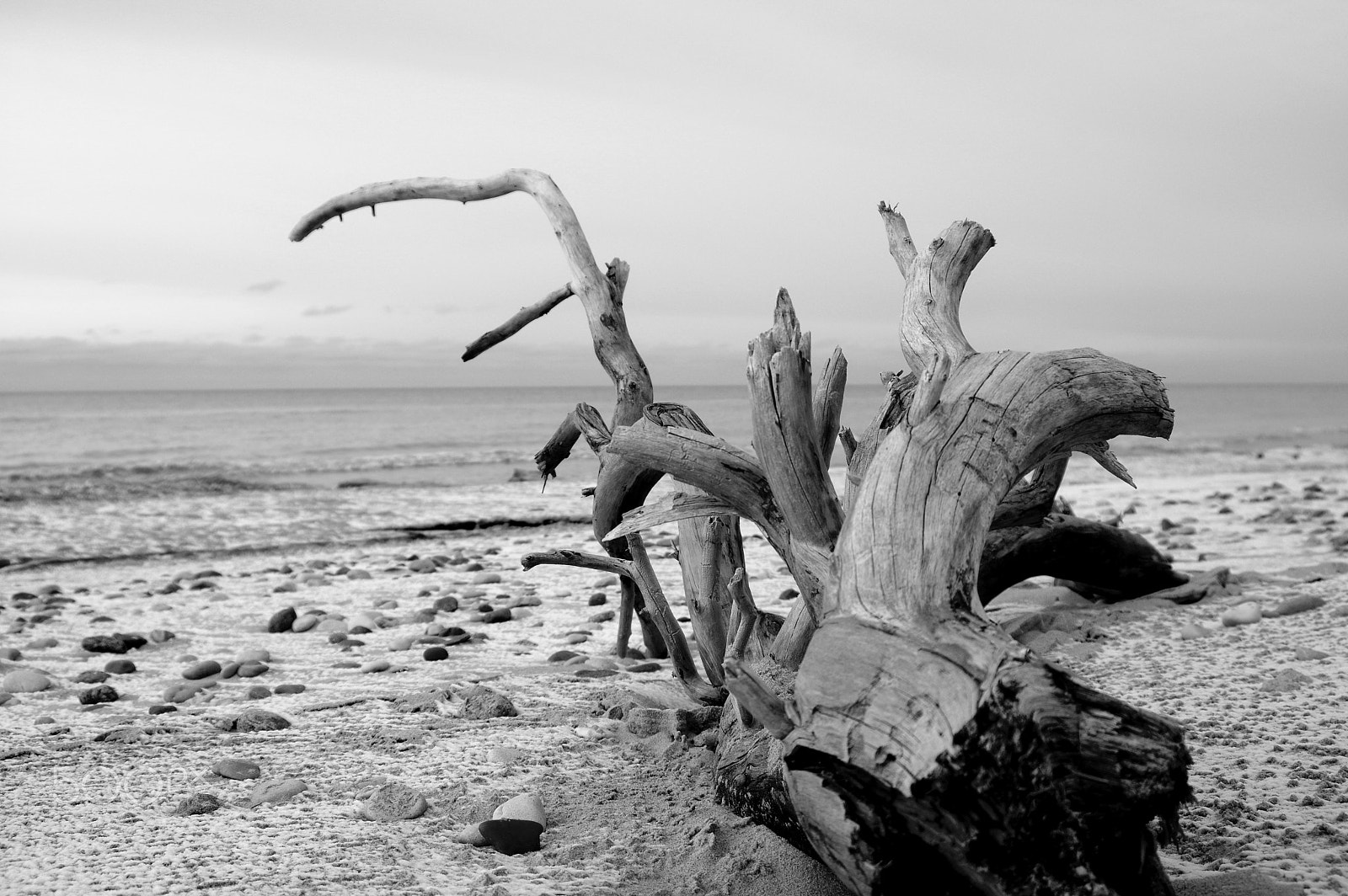 Sigma 17-35mm F2.8-4 EX DG sample photo. Calmness ... photography