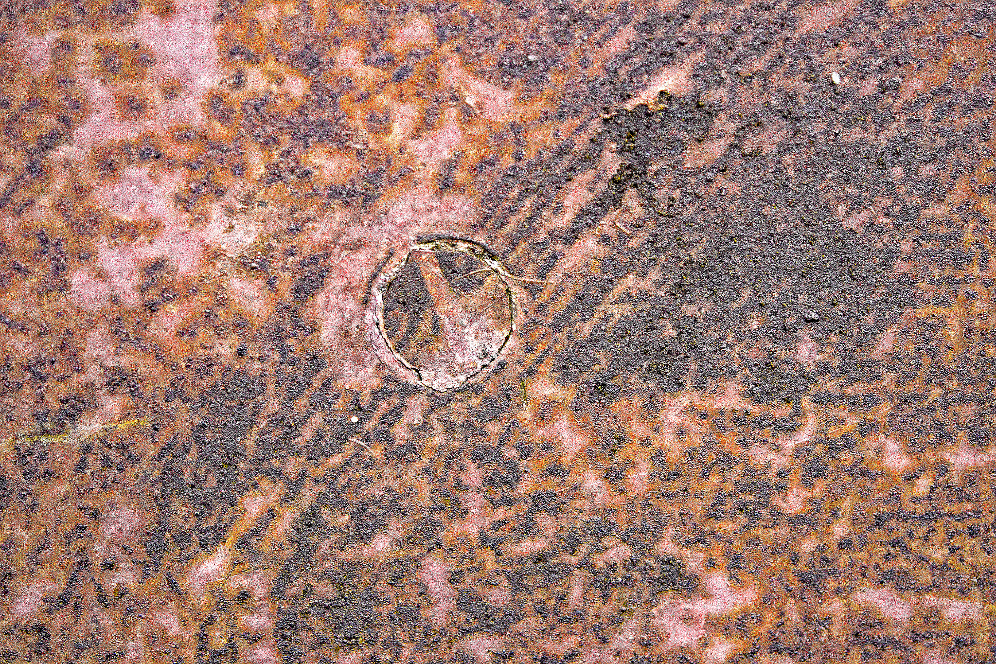 Nikon AF-S Micro-Nikkor 60mm F2.8G ED sample photo