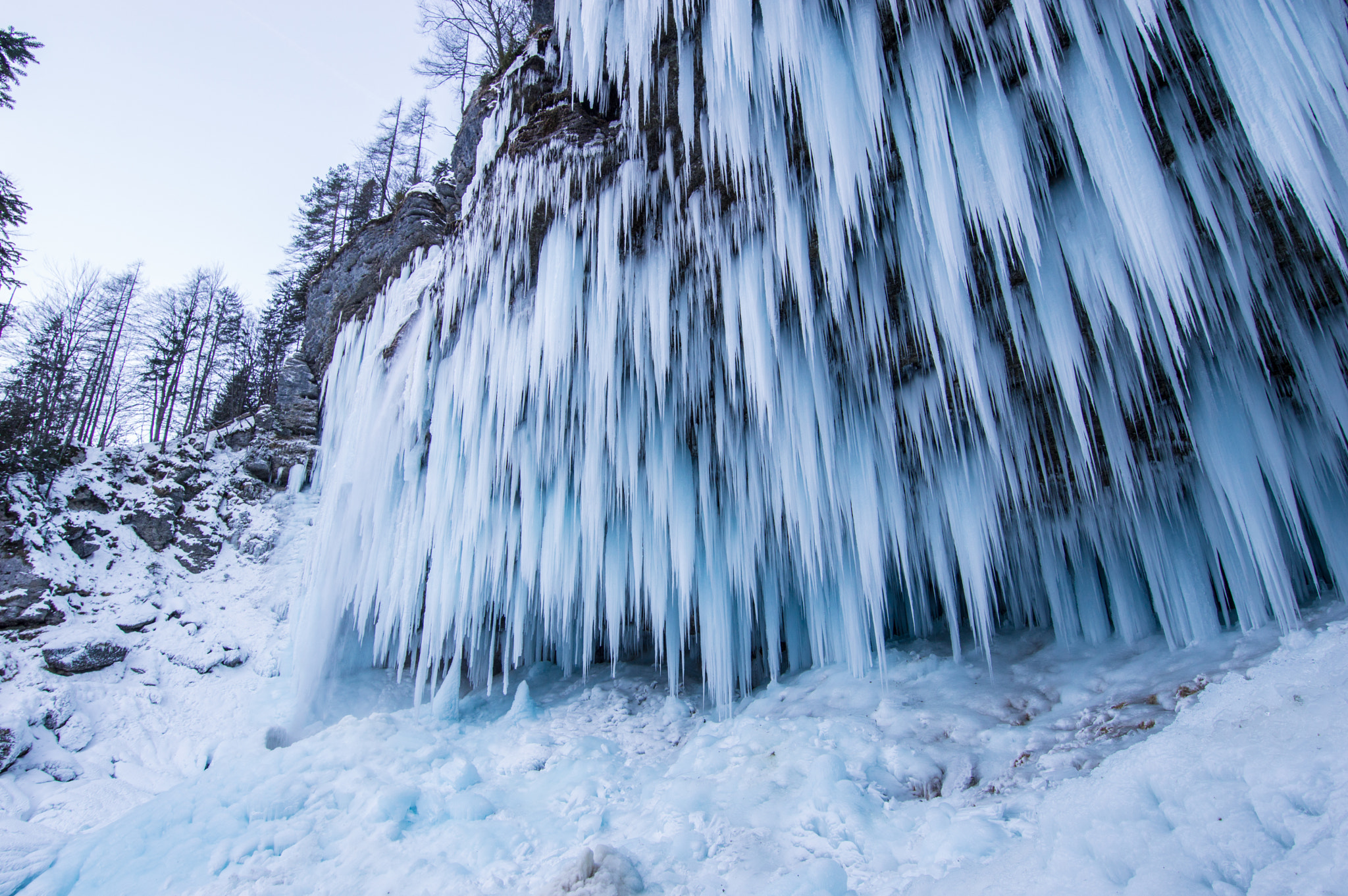 Nikon D3200 sample photo. Frozen photography
