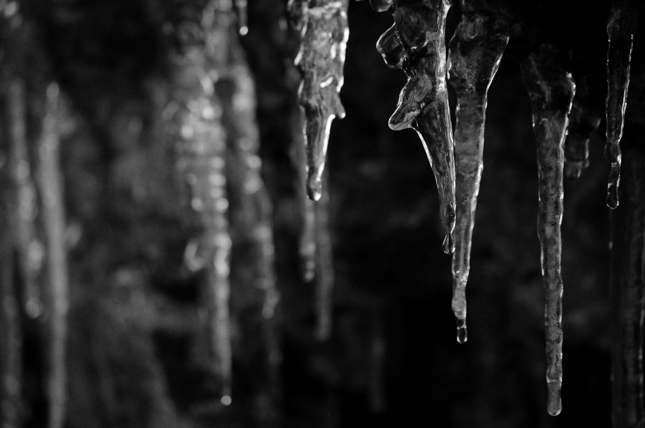 Nikon D300 sample photo. Ice photography