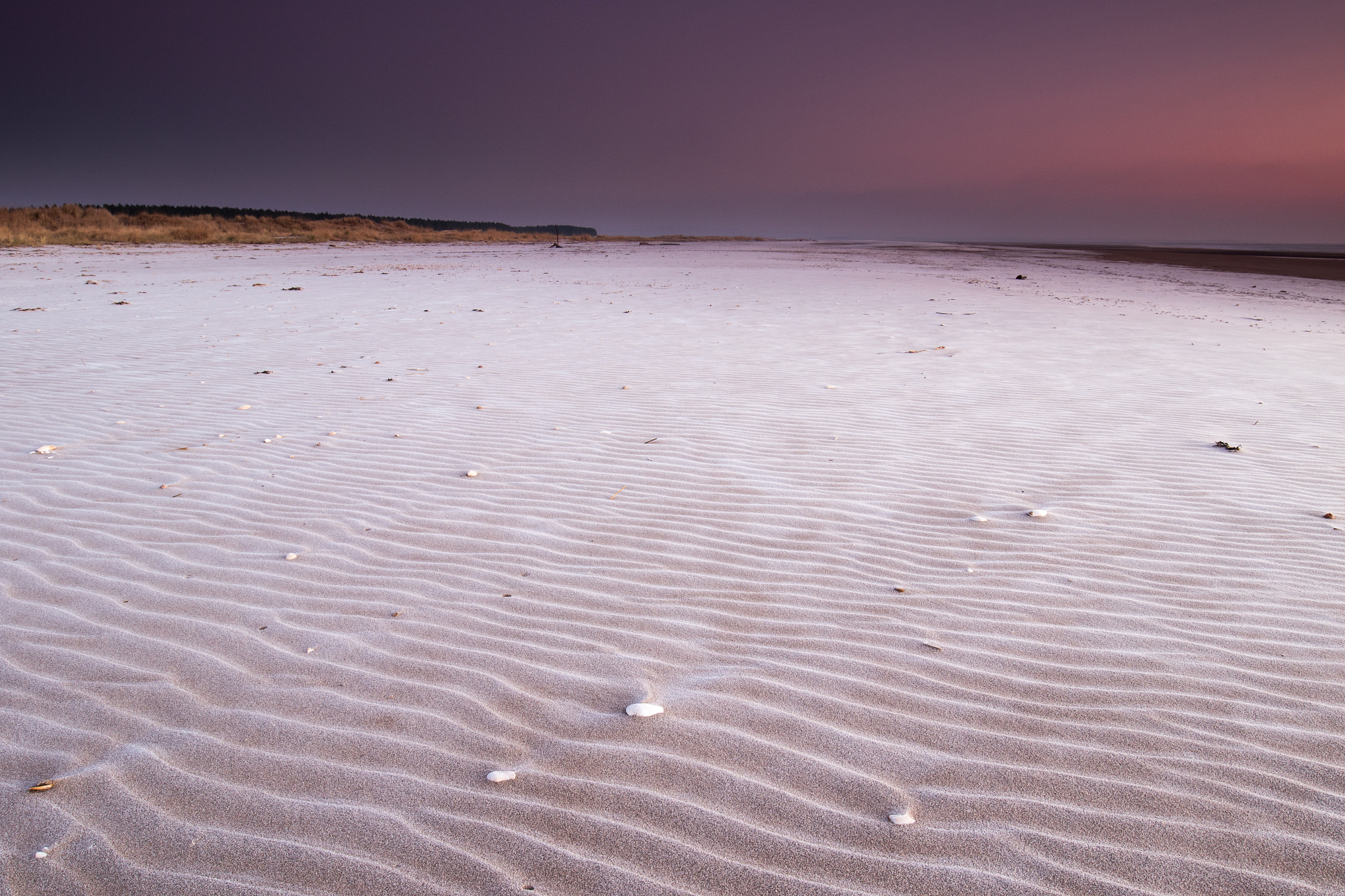 Canon EF 16-35mm F4L IS USM sample photo. Frozen sand 2 photography