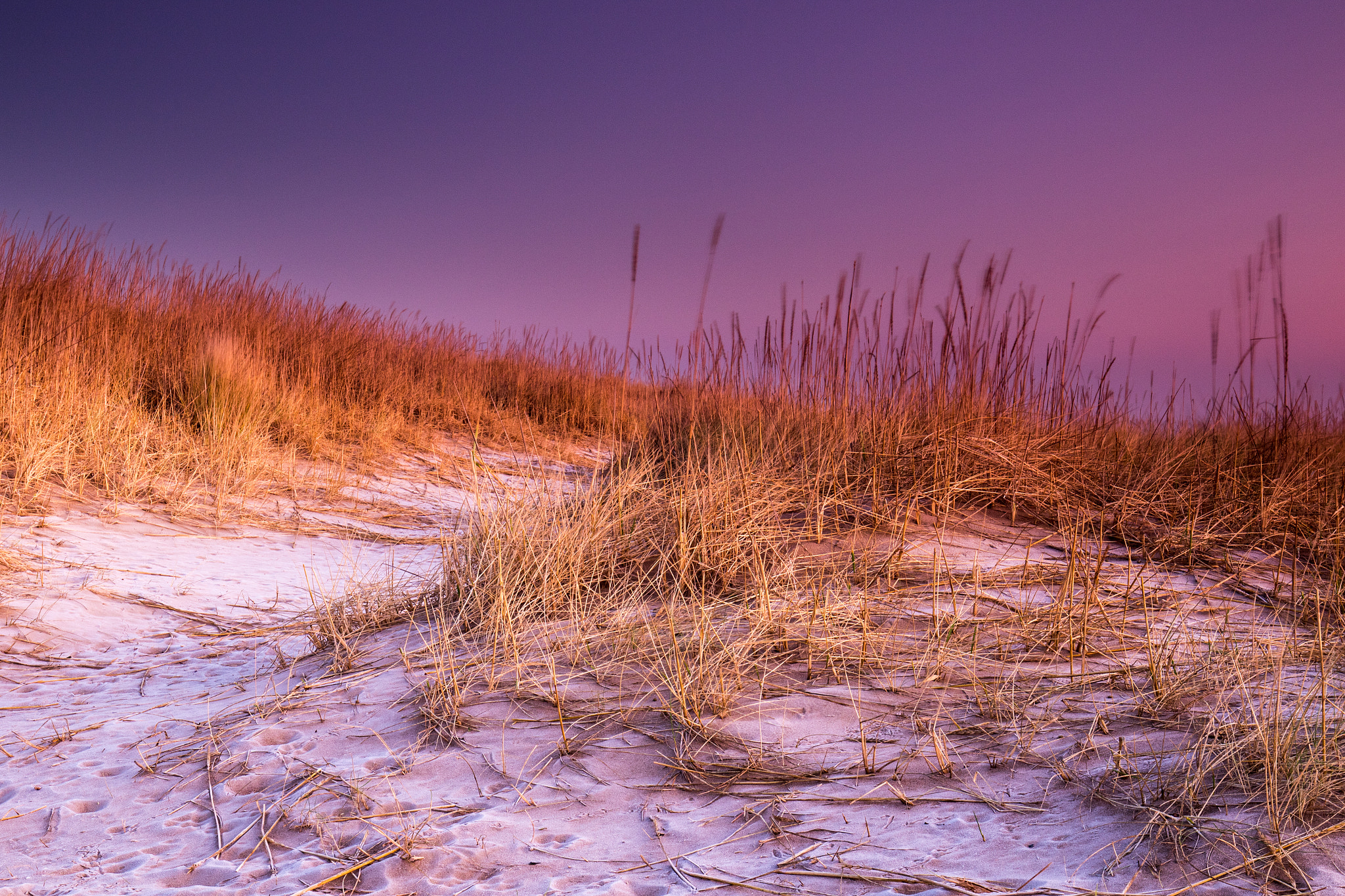 Canon EF 16-35mm F4L IS USM sample photo. Frozen sand photography