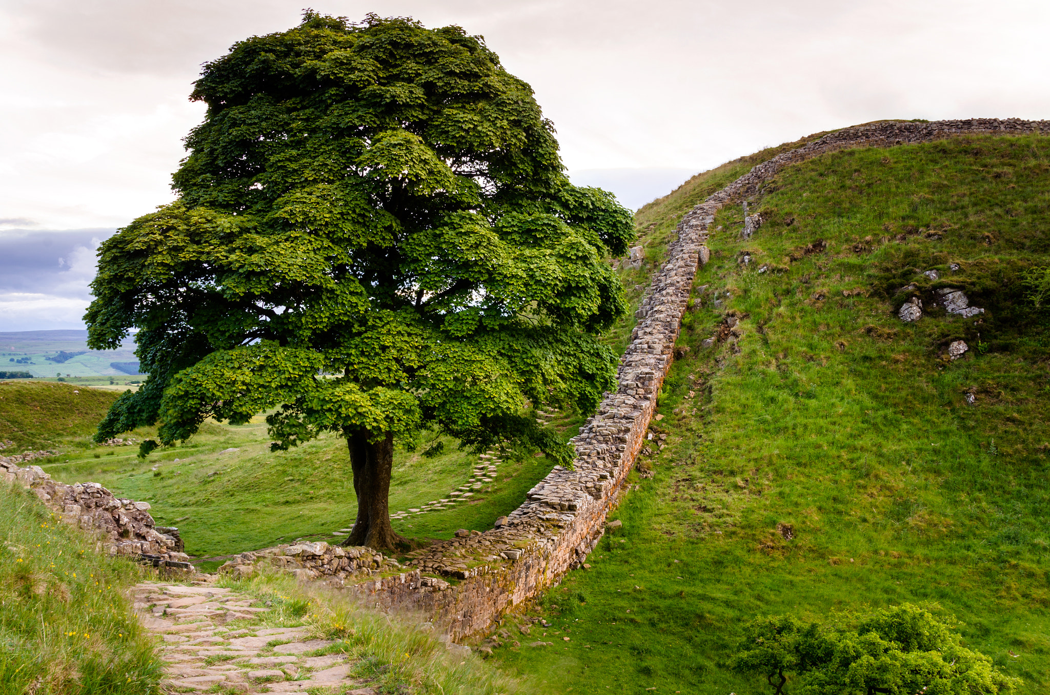 Nikon AF-S Nikkor 24-120mm F4G ED VR sample photo. Sycamore gap photography